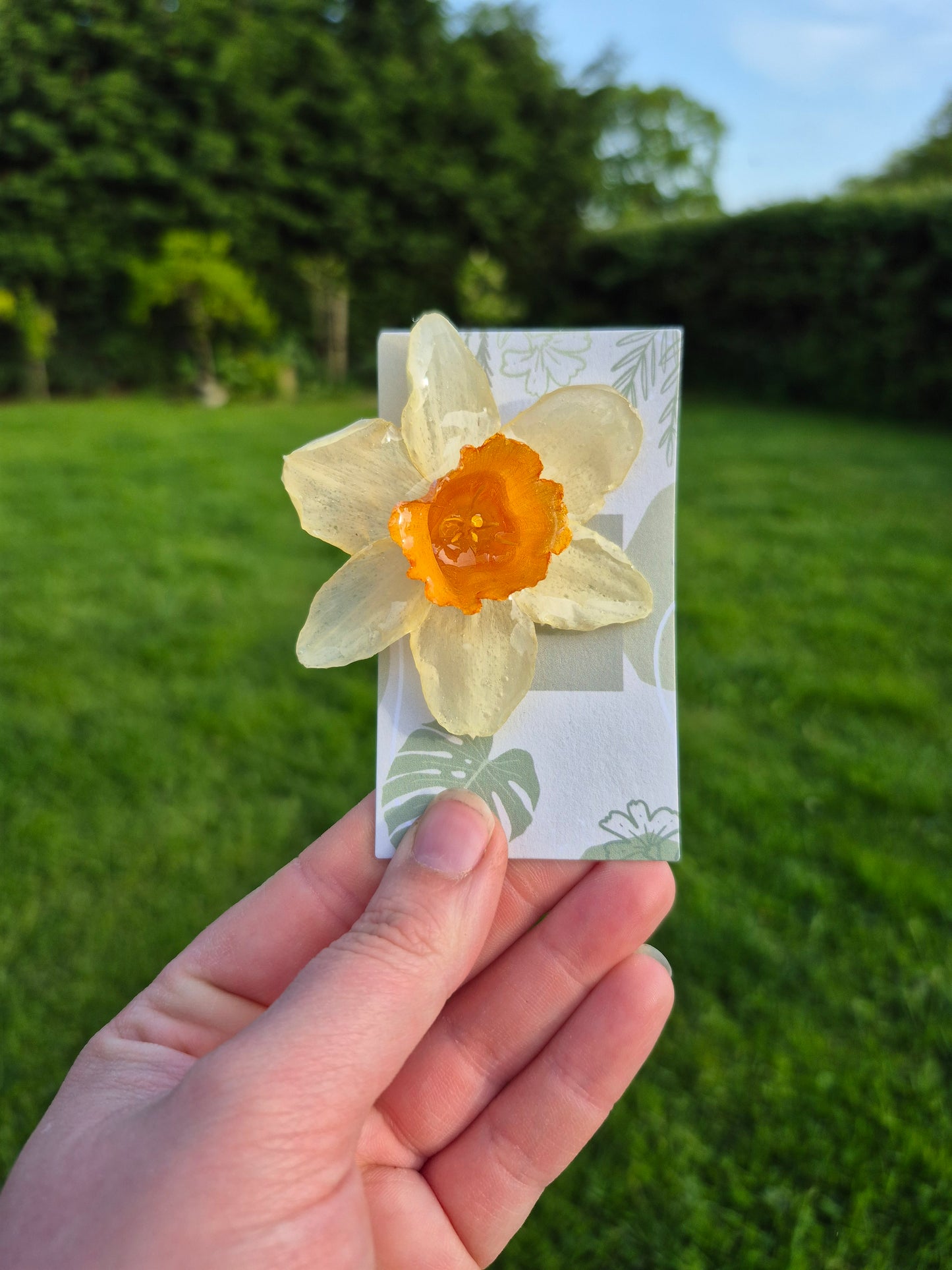 Real daffodil pin badge