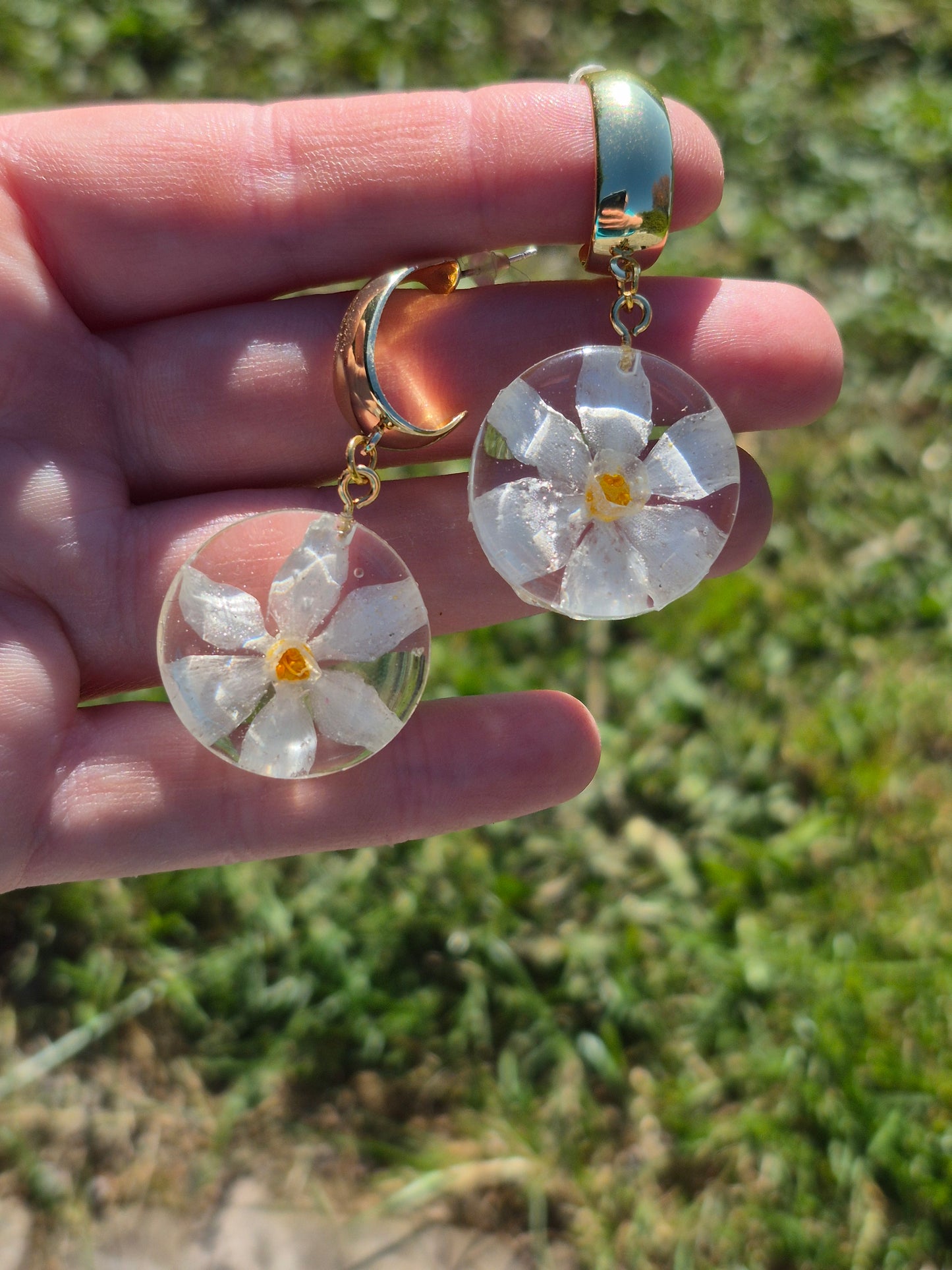 Narcissus paperwhite dangles