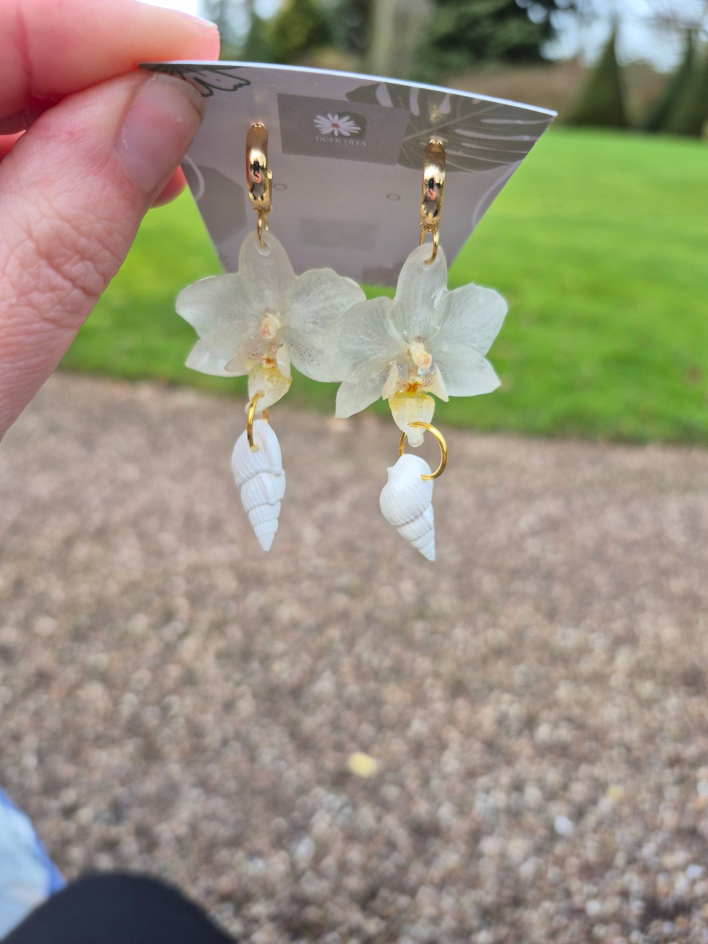 White phalaenopsis shell dangles