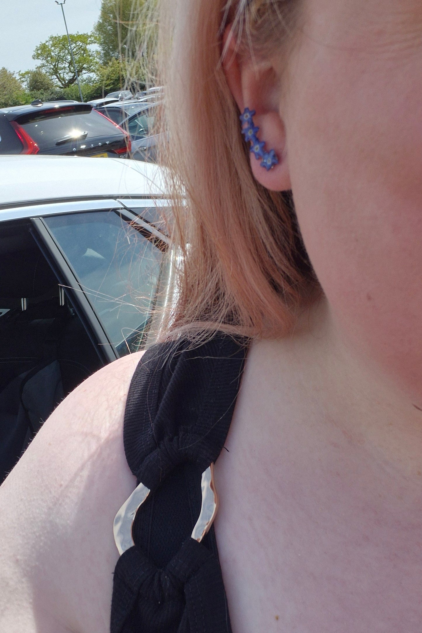 Forget me not ear climbers