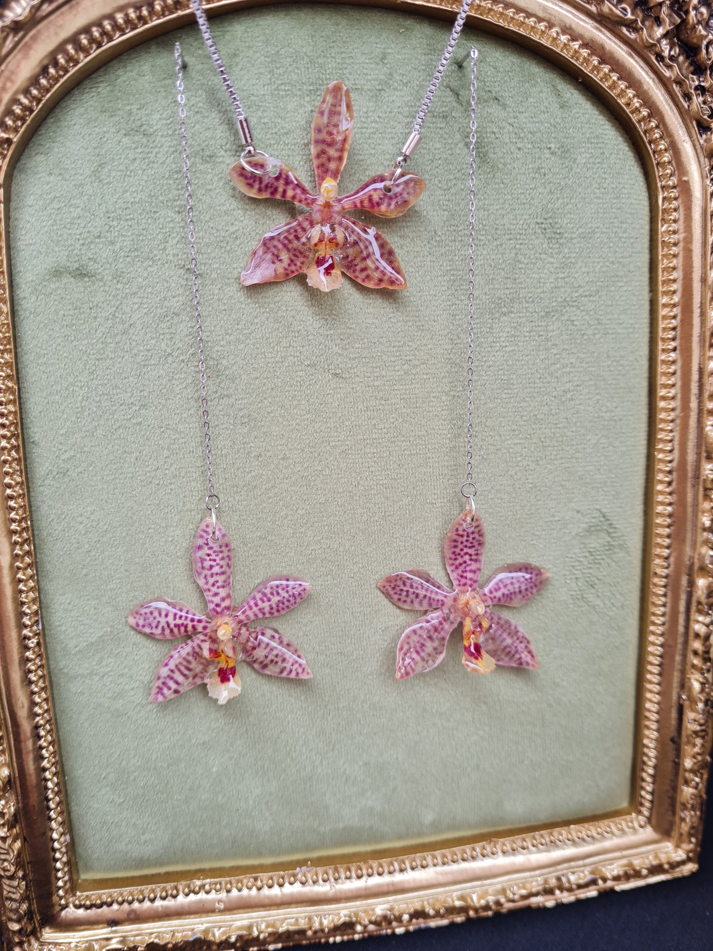 Real spotty phalaenopsis threader earrings