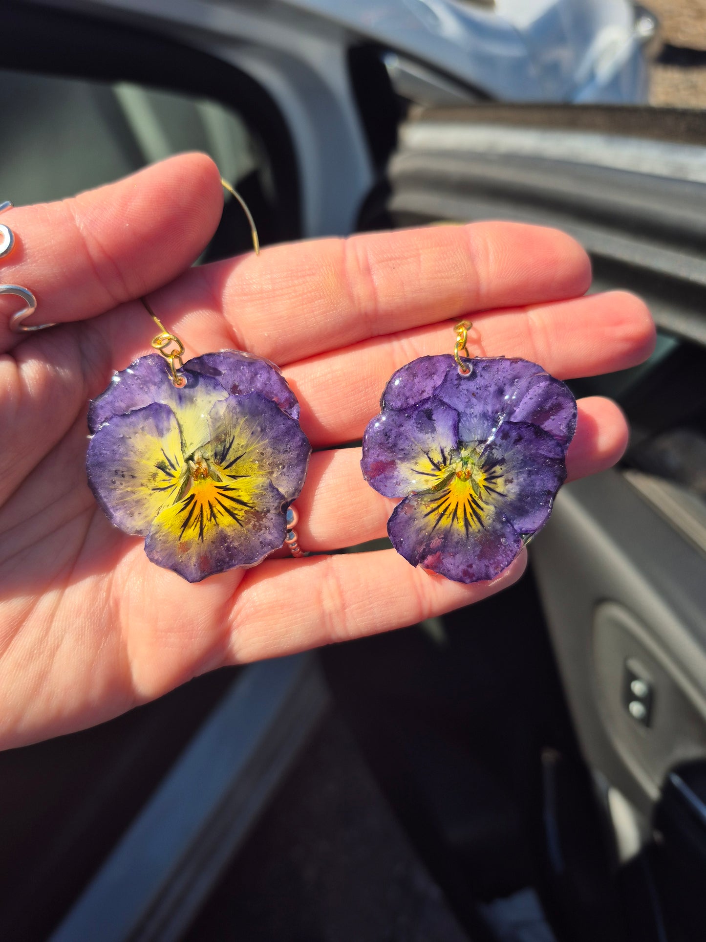 Viola dangles