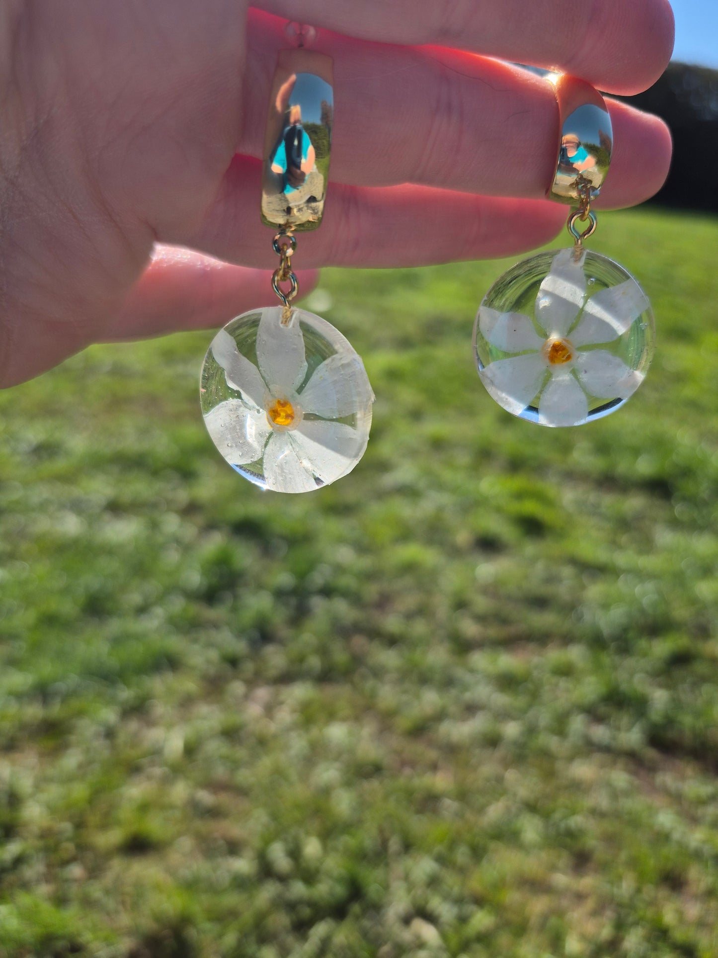 Narcissus paperwhite dangles