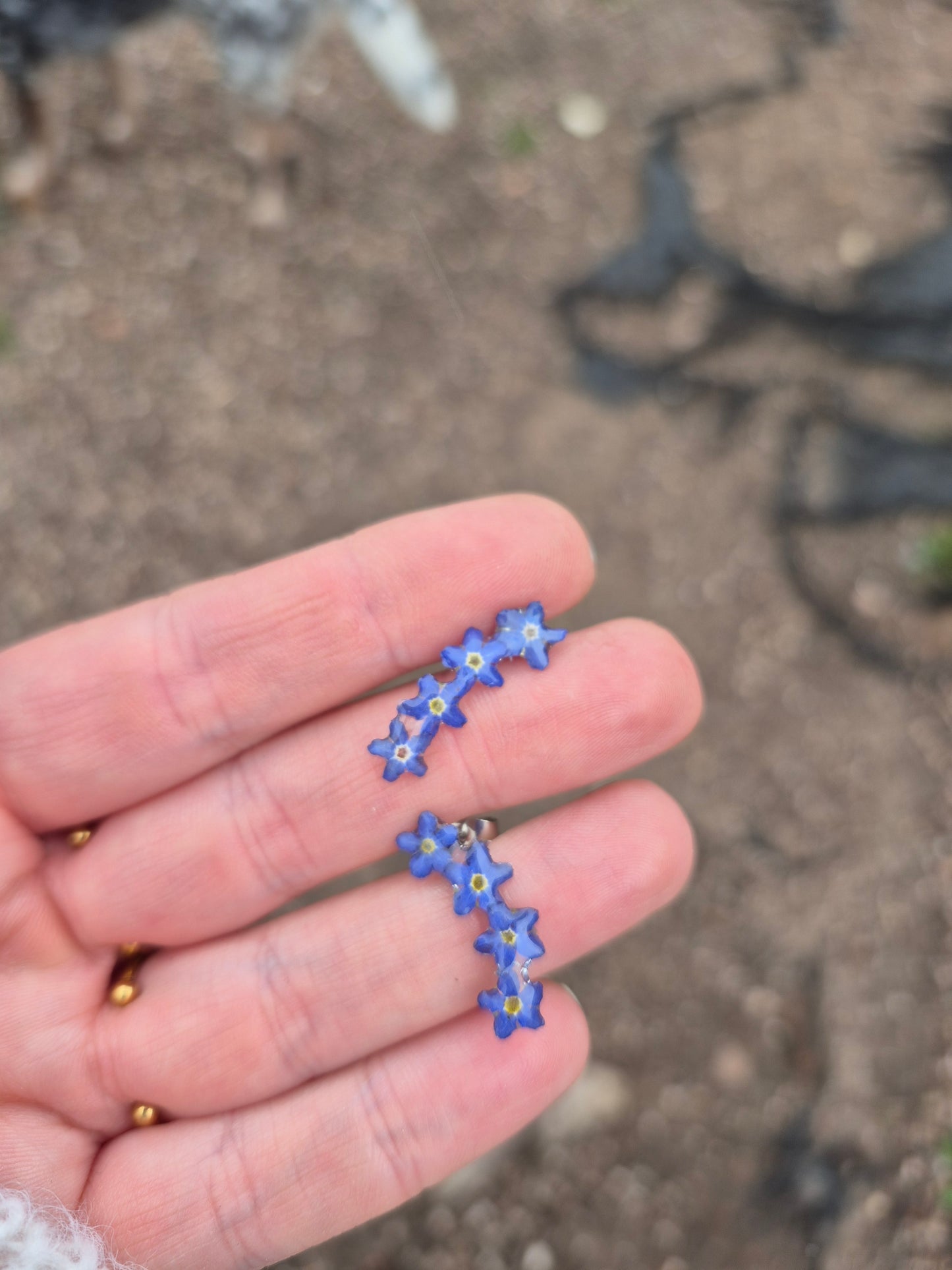 Forget me not ear climbers
