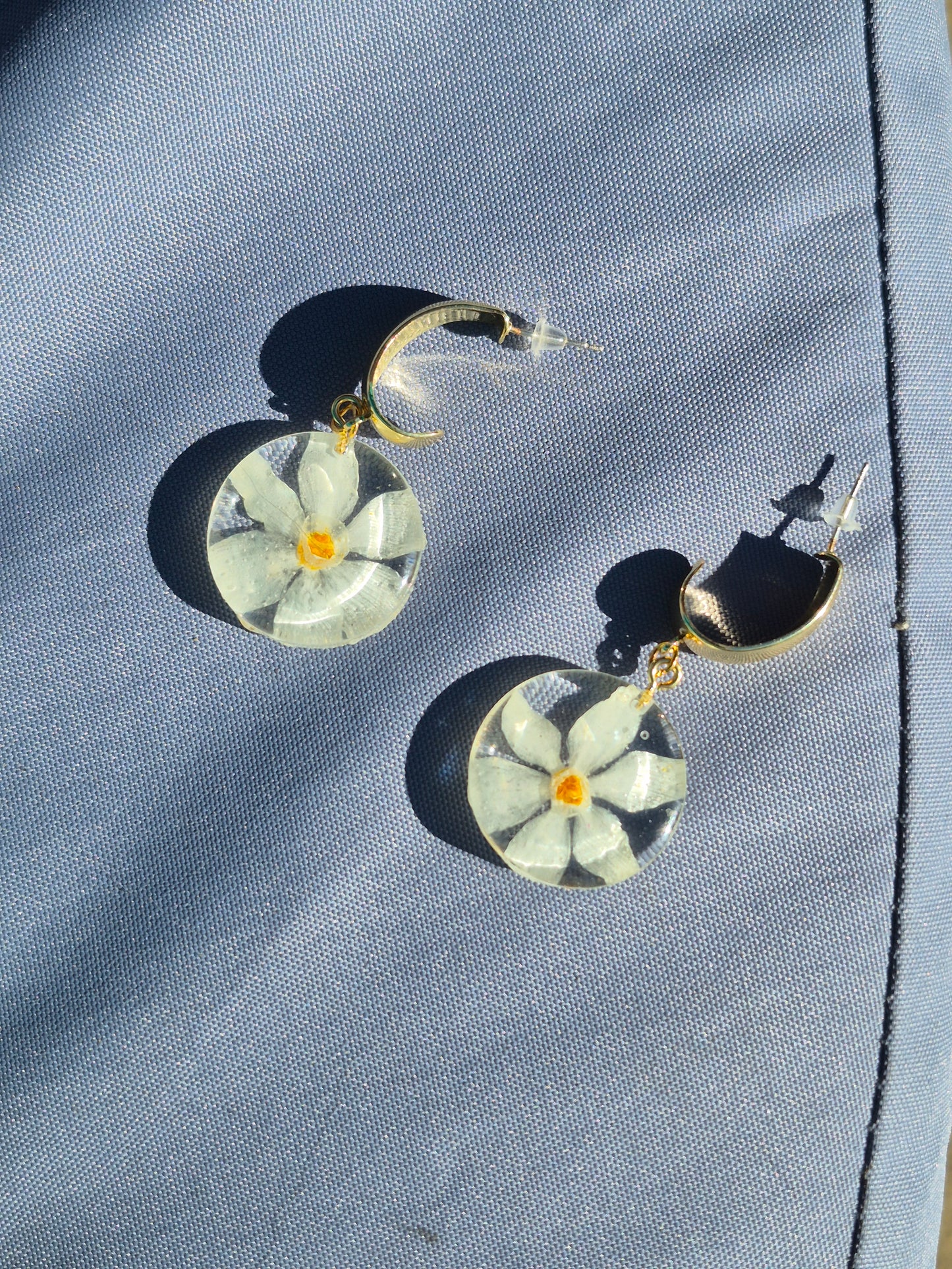 Narcissus paperwhite dangles