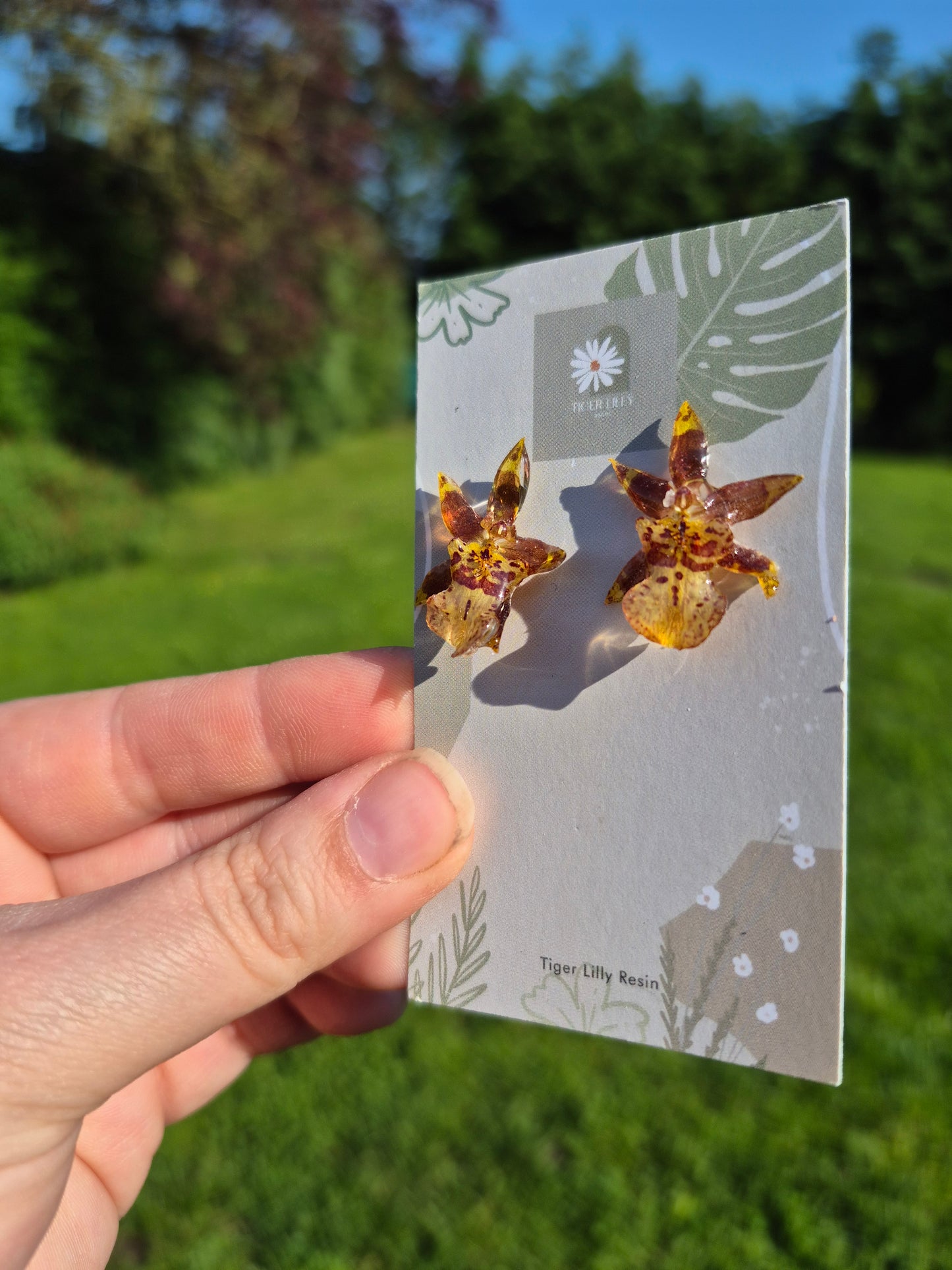 Oncidium stud earrings