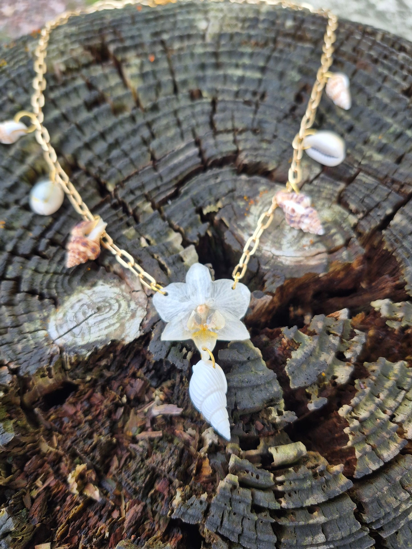 Small phalaenopsis orchid sea shell necklace