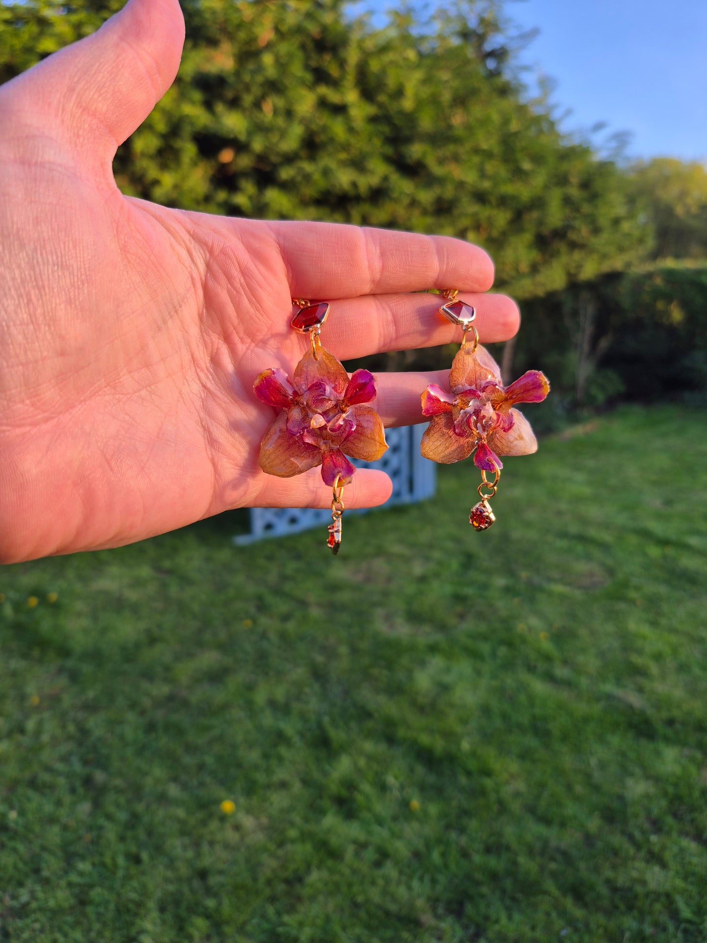 Real peloric orchid earrings