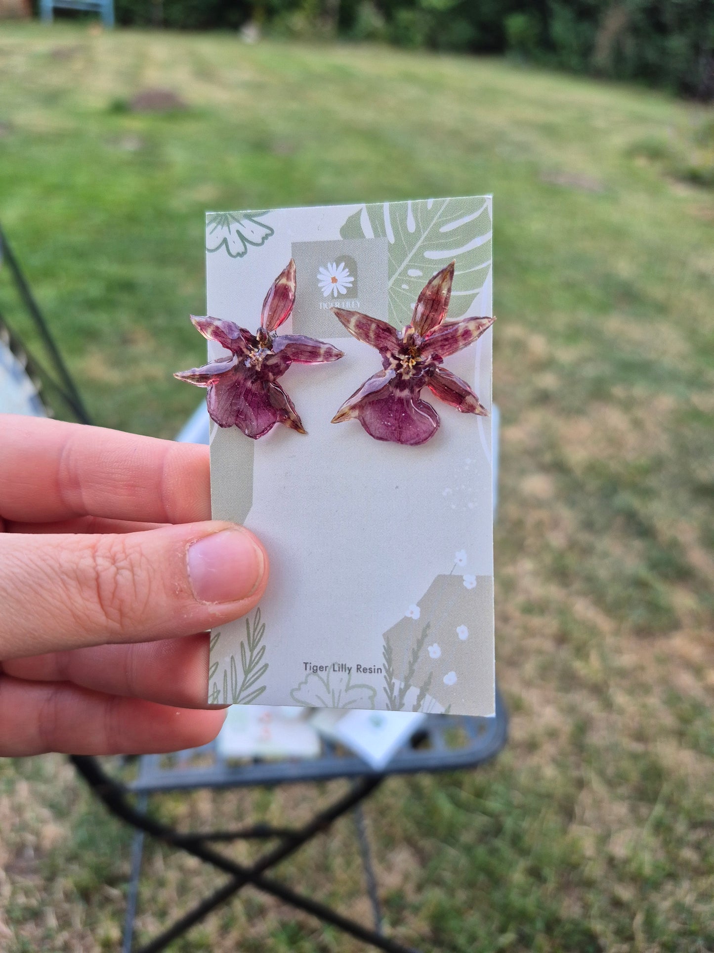 Real oncidium stud earrings