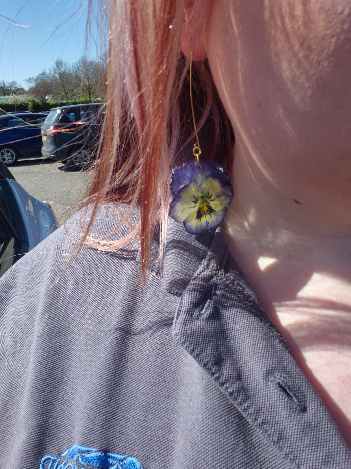 Viola dangles