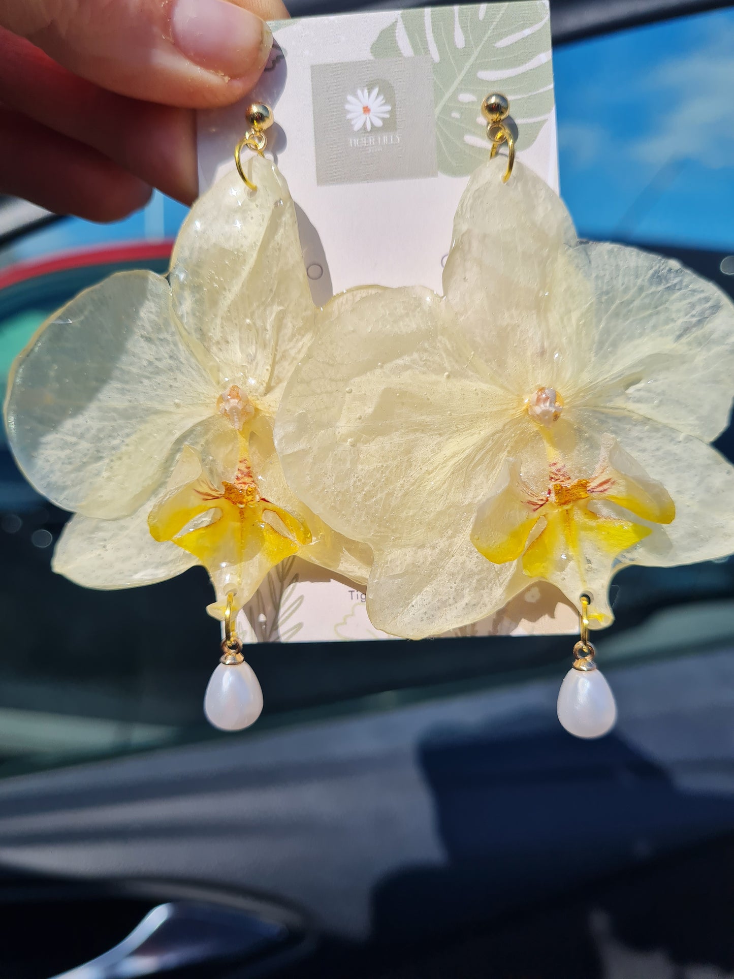 Real White phalaenopsis orchid earrings