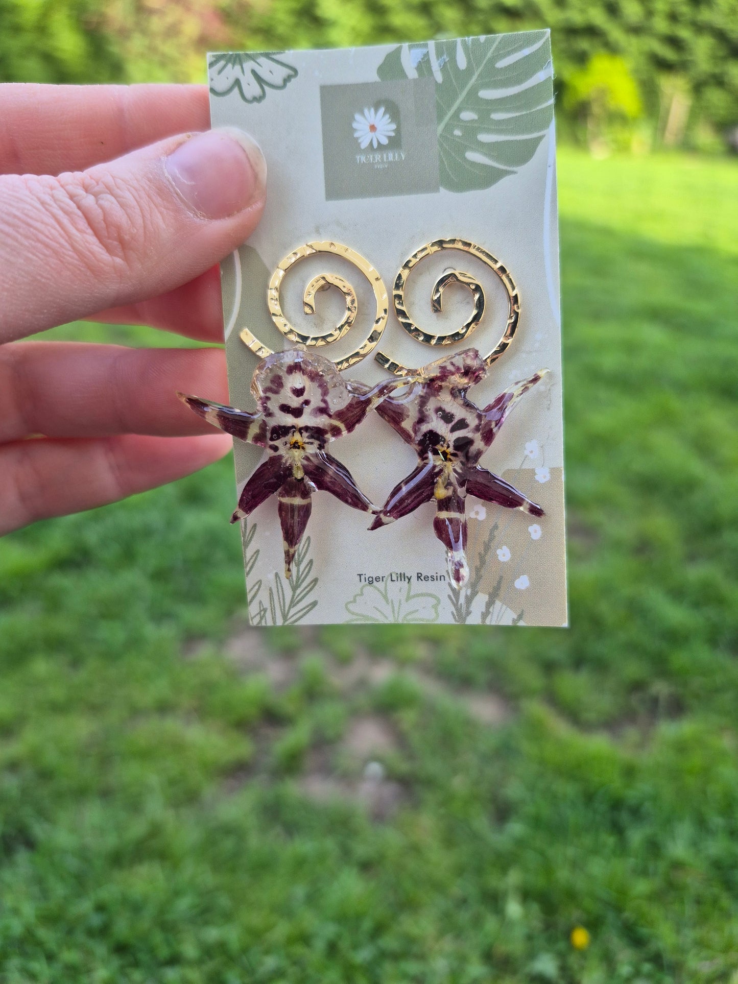 Brassia Orchid Earrings