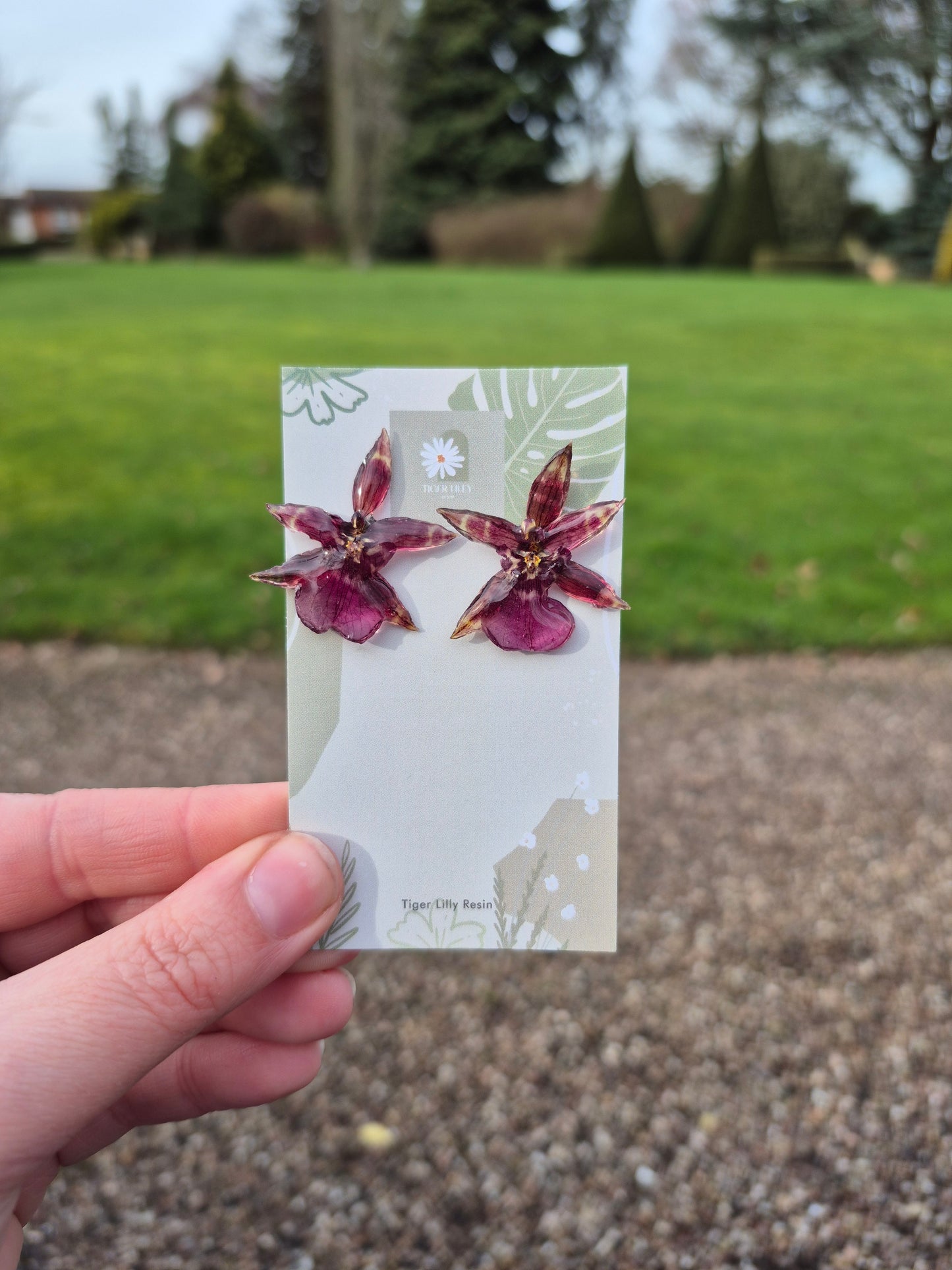 Real oncidium orchid purple studs