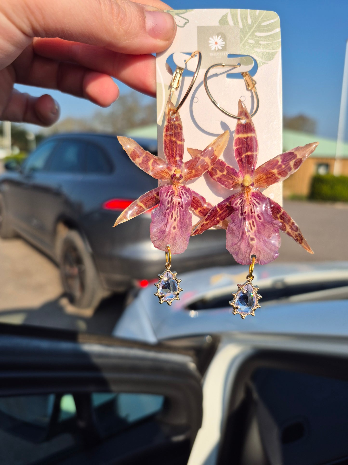 Real brassia orchid earrings