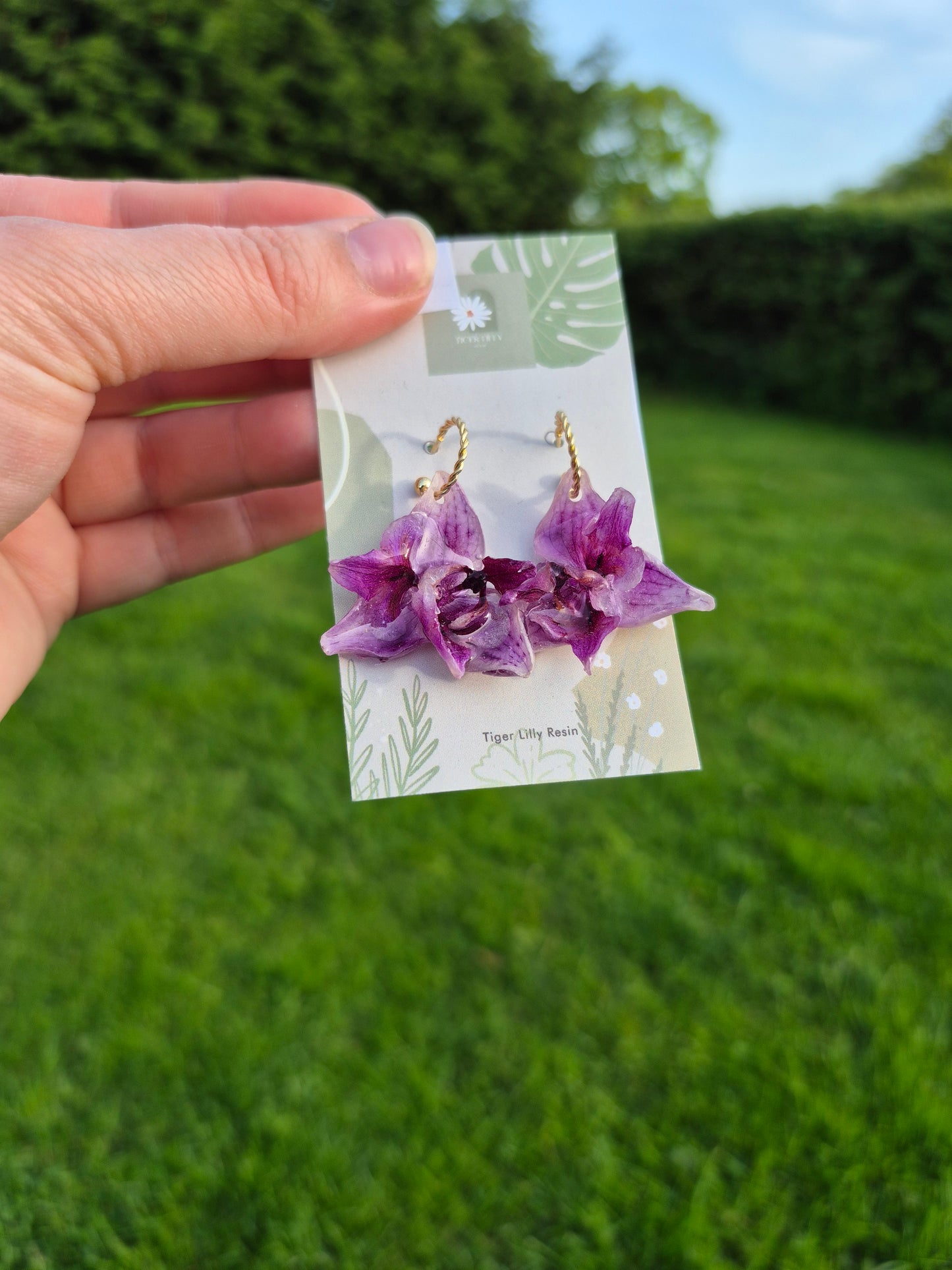 Real small pink peloric orchid earrings