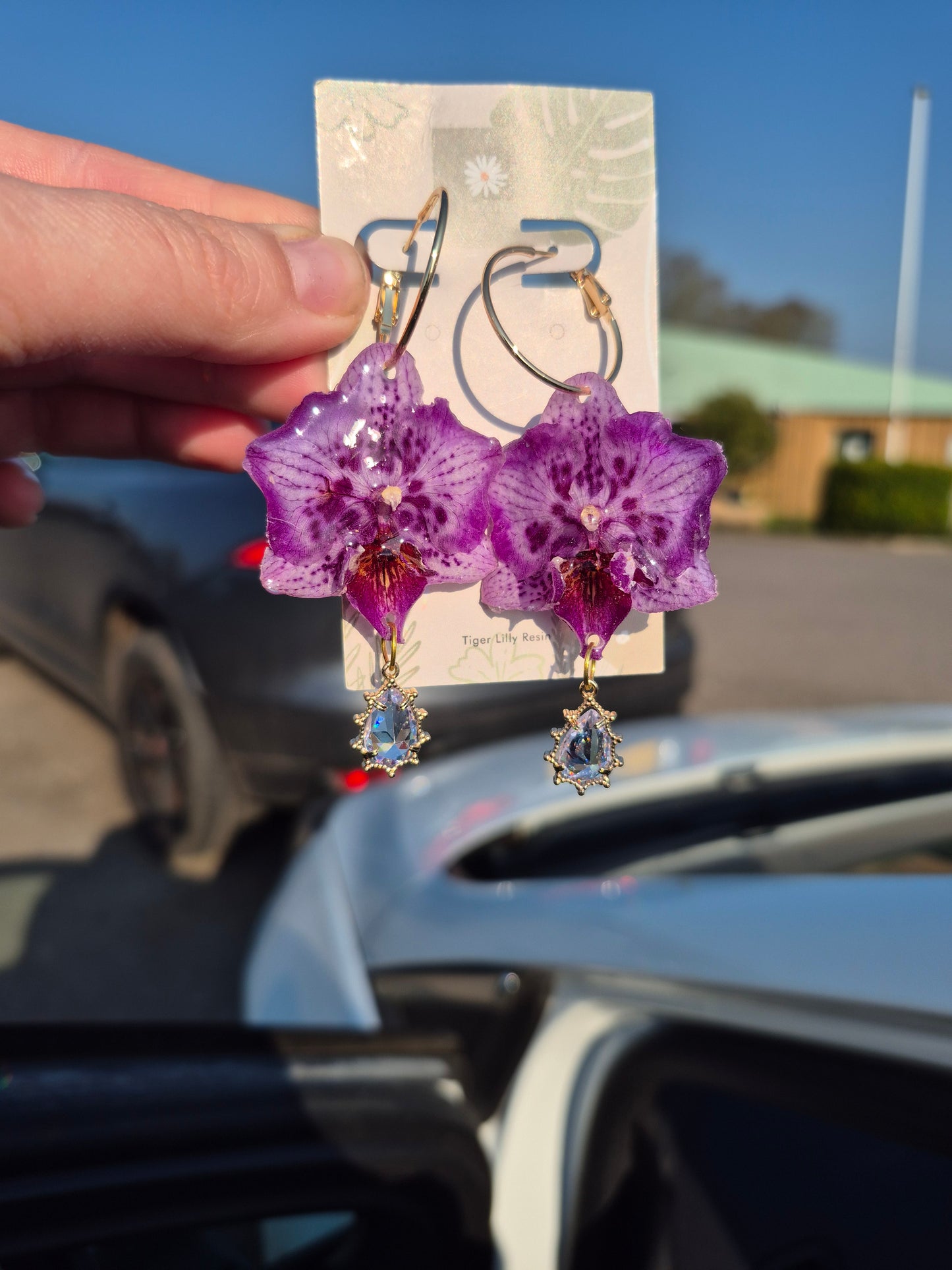 Real phalaenopsis orchid earrings