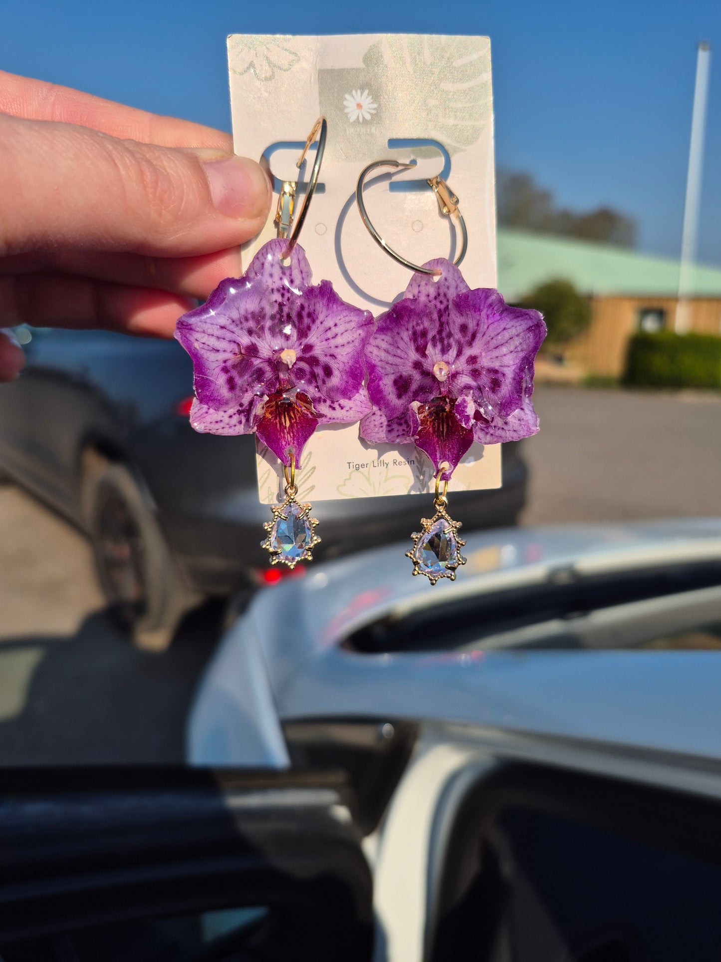 Real phalaenopsis orchid earrings