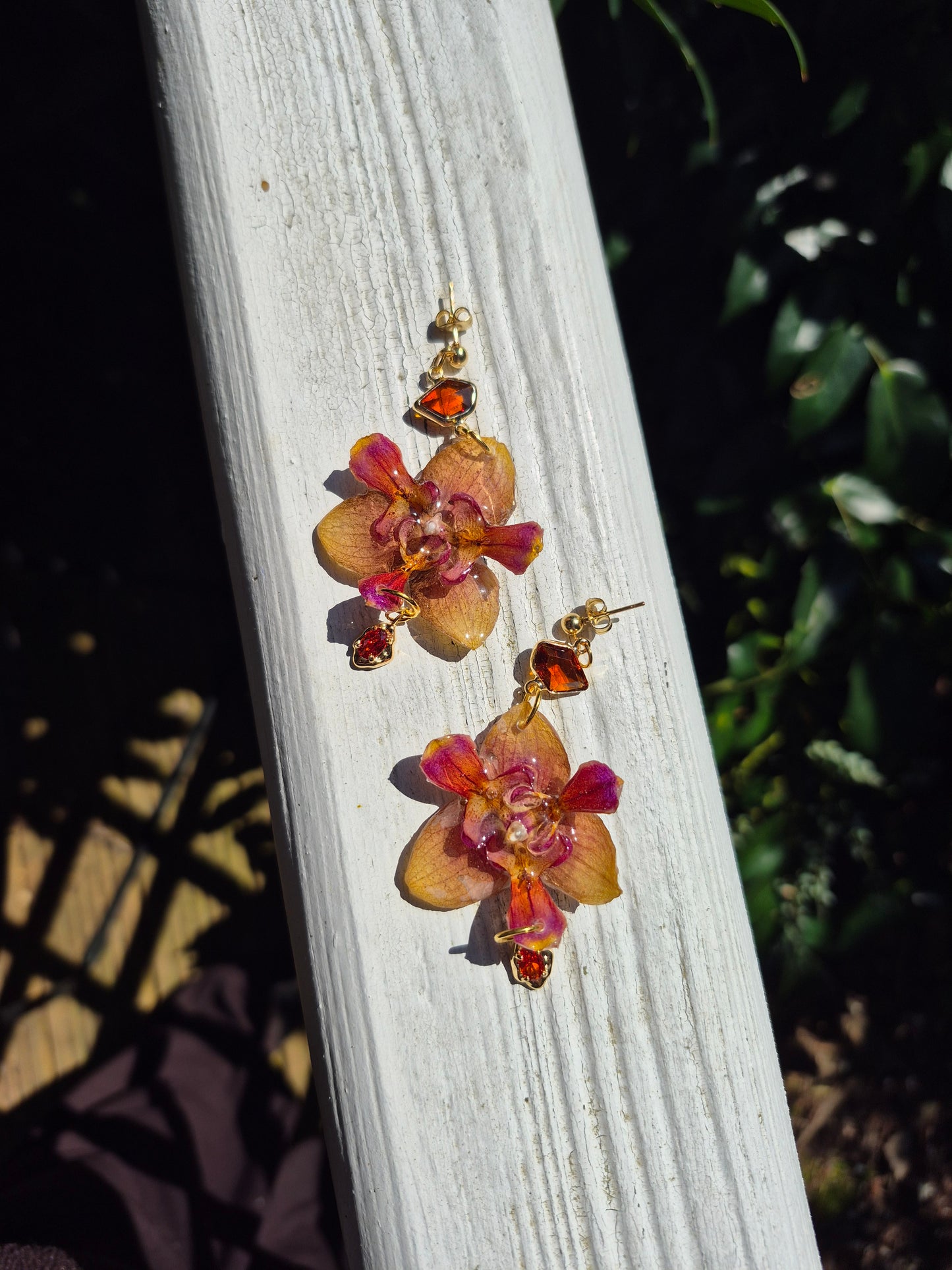 Real peloric orchid earrings