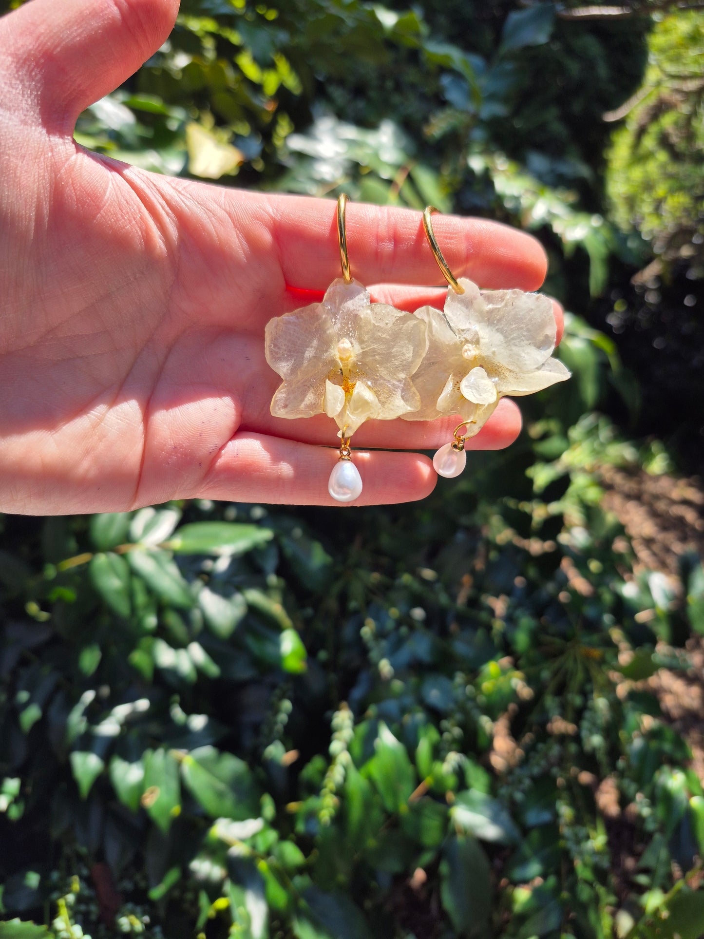 Real White phalaenopsis orchid hoops earrings