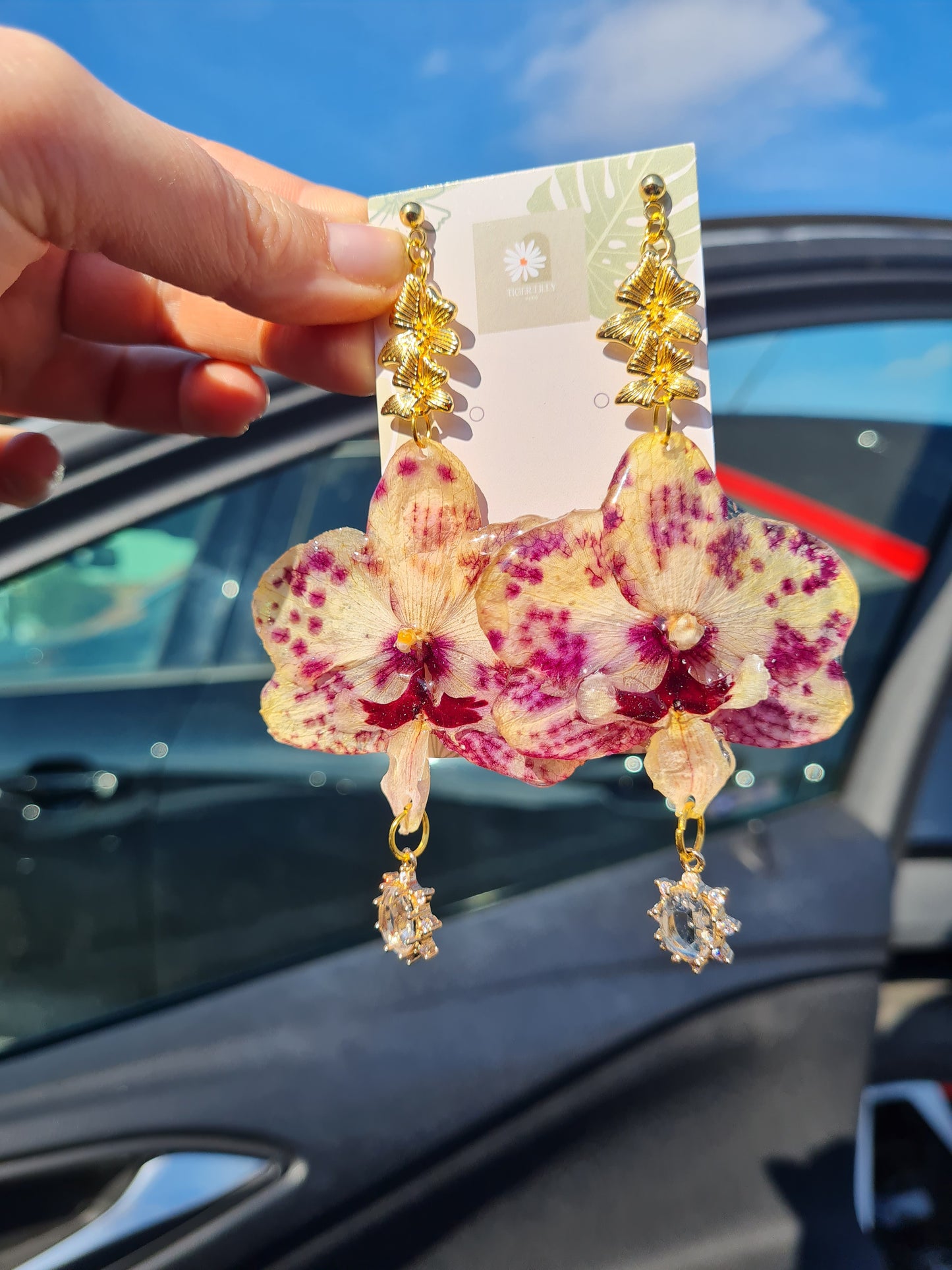 Cream and burgundy Real orchid earrings