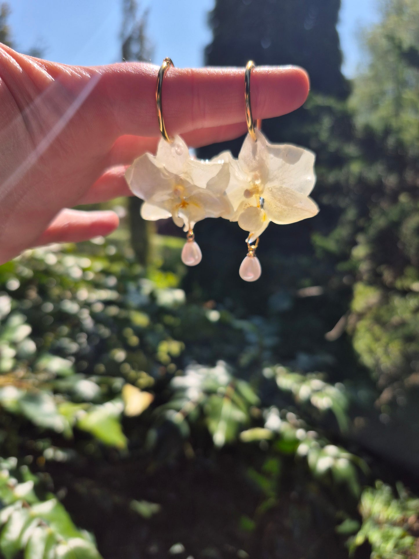 Real White phalaenopsis orchid hoops earrings