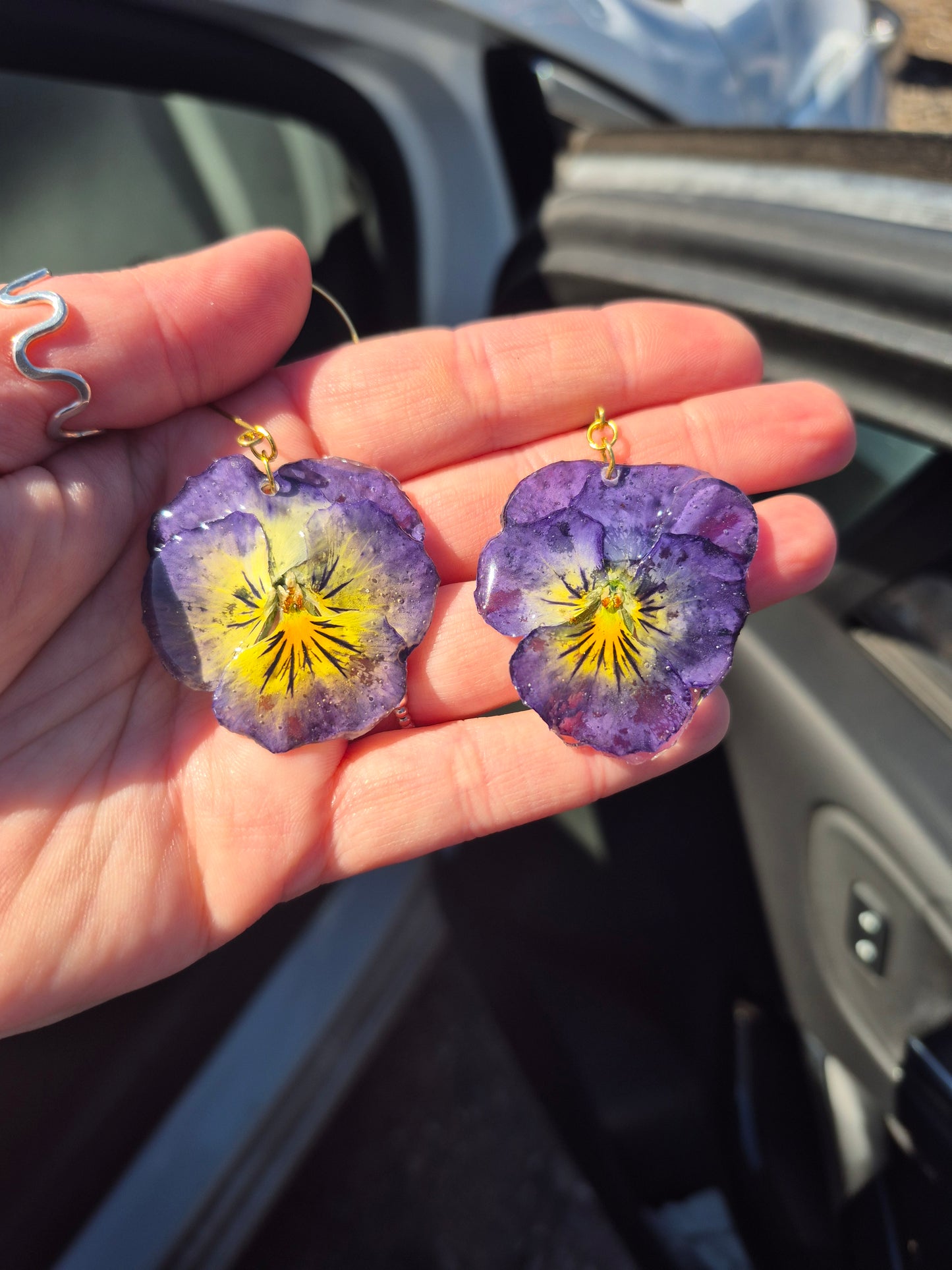 Viola dangles