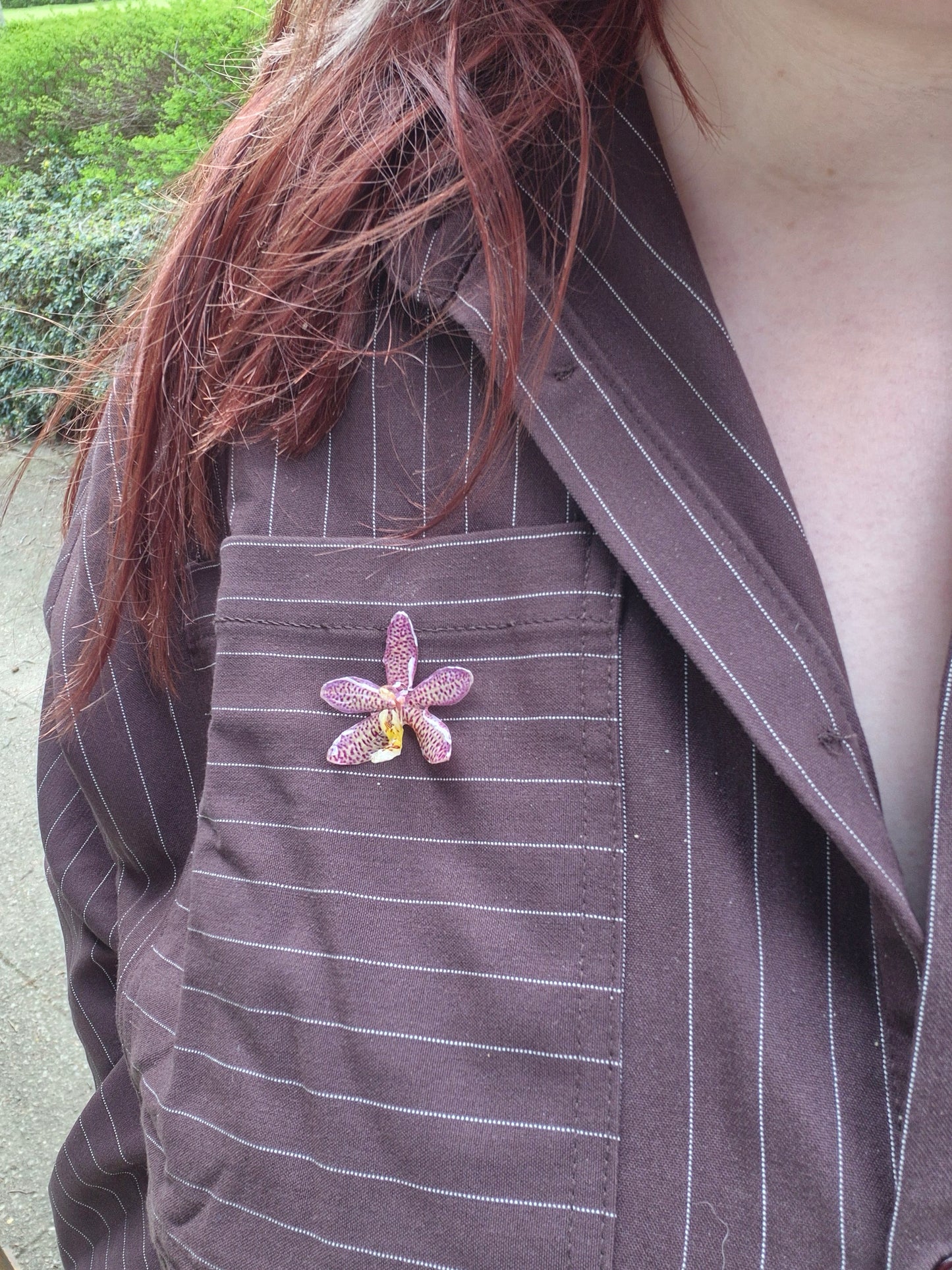 Real phalaenopsis spider orchid pin badge