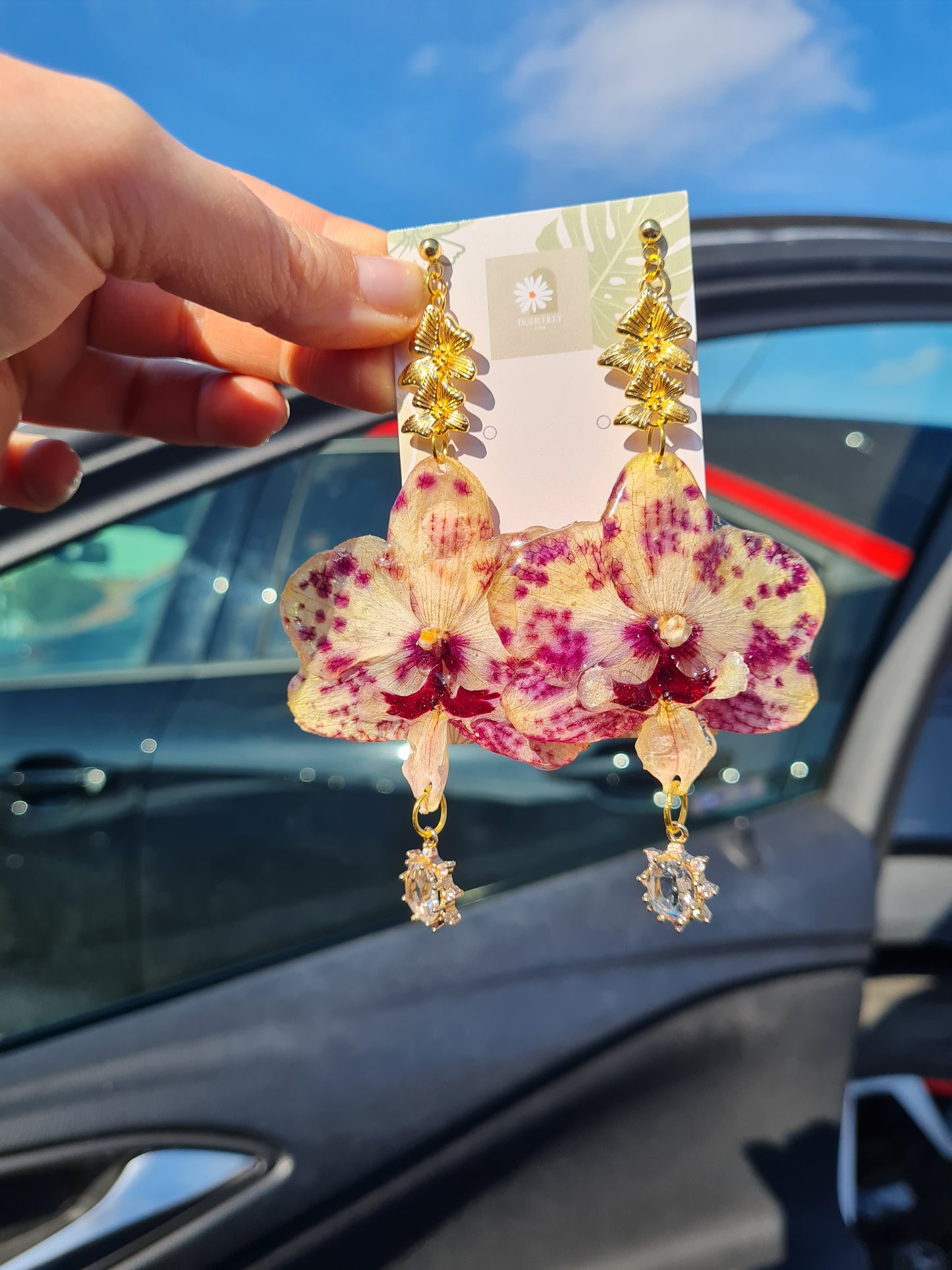 Cream and burgundy Real orchid earrings