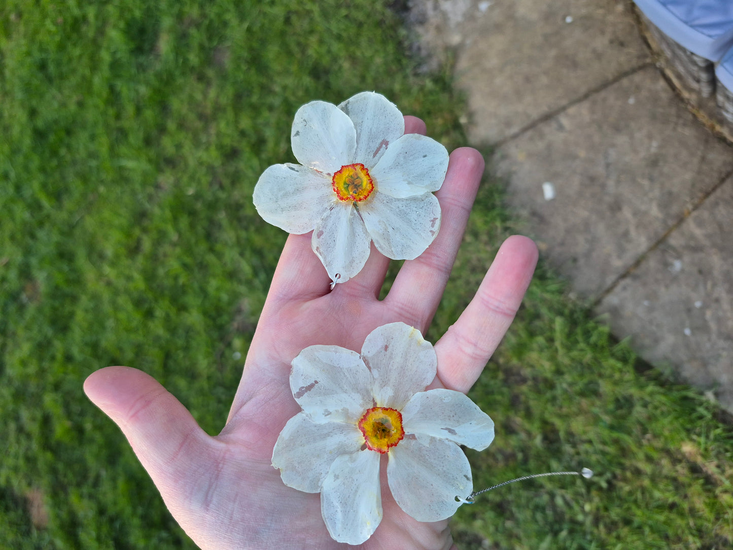 Large white daffodil chain earrings