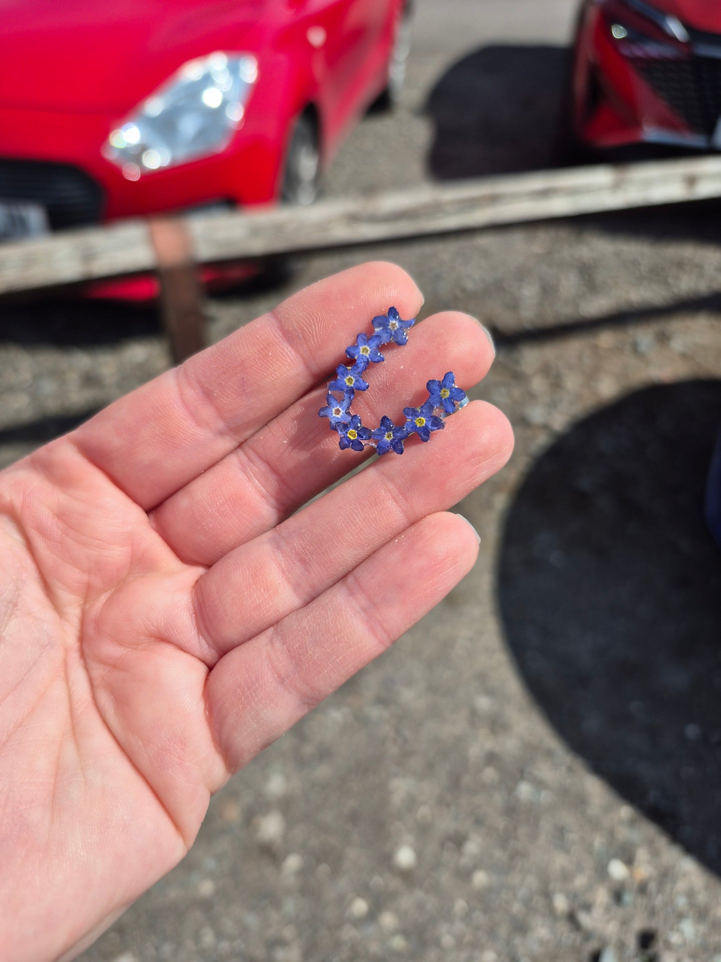 Forget me not ear climbers