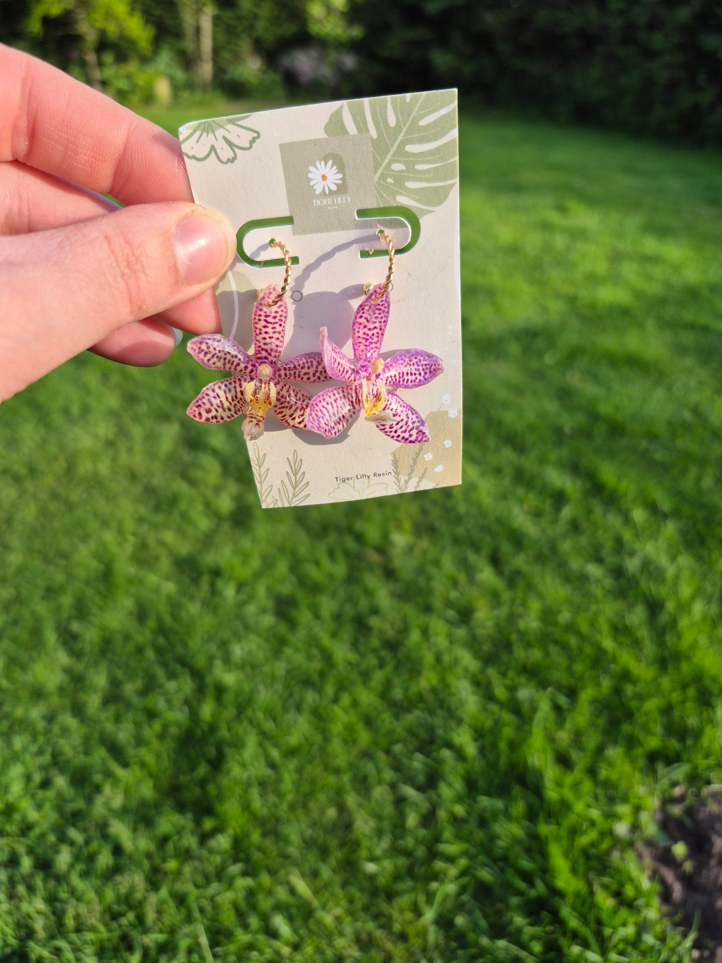 Real oncidium orchid dangle earrings