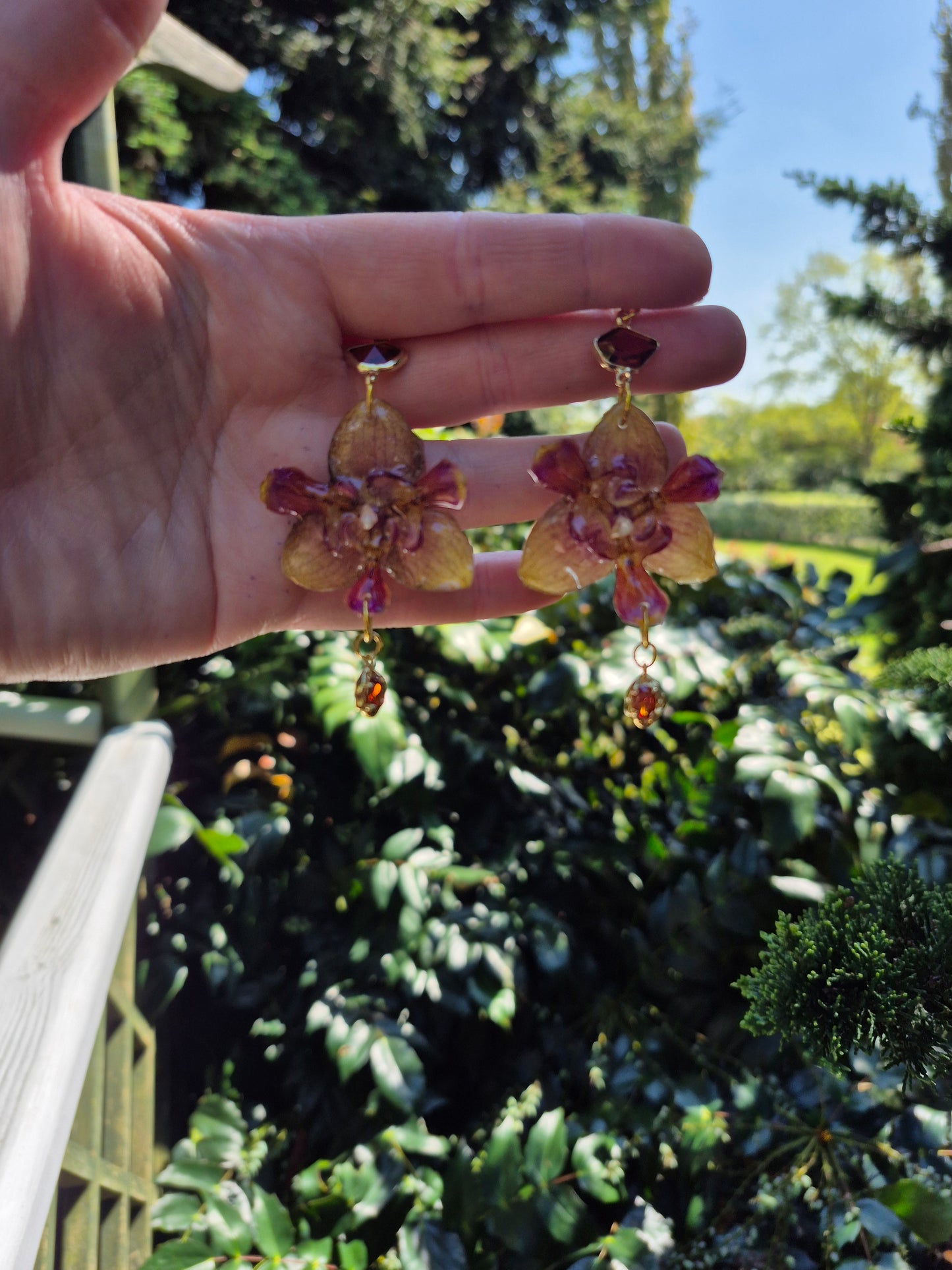 Real peloric orchid earrings
