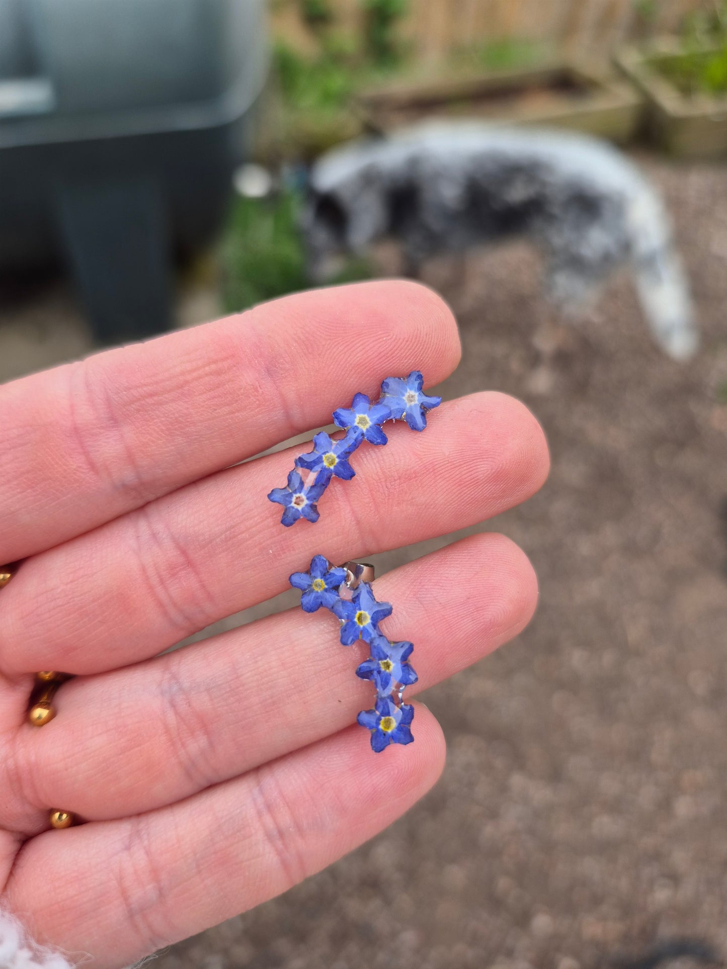 Forget me not ear climbers