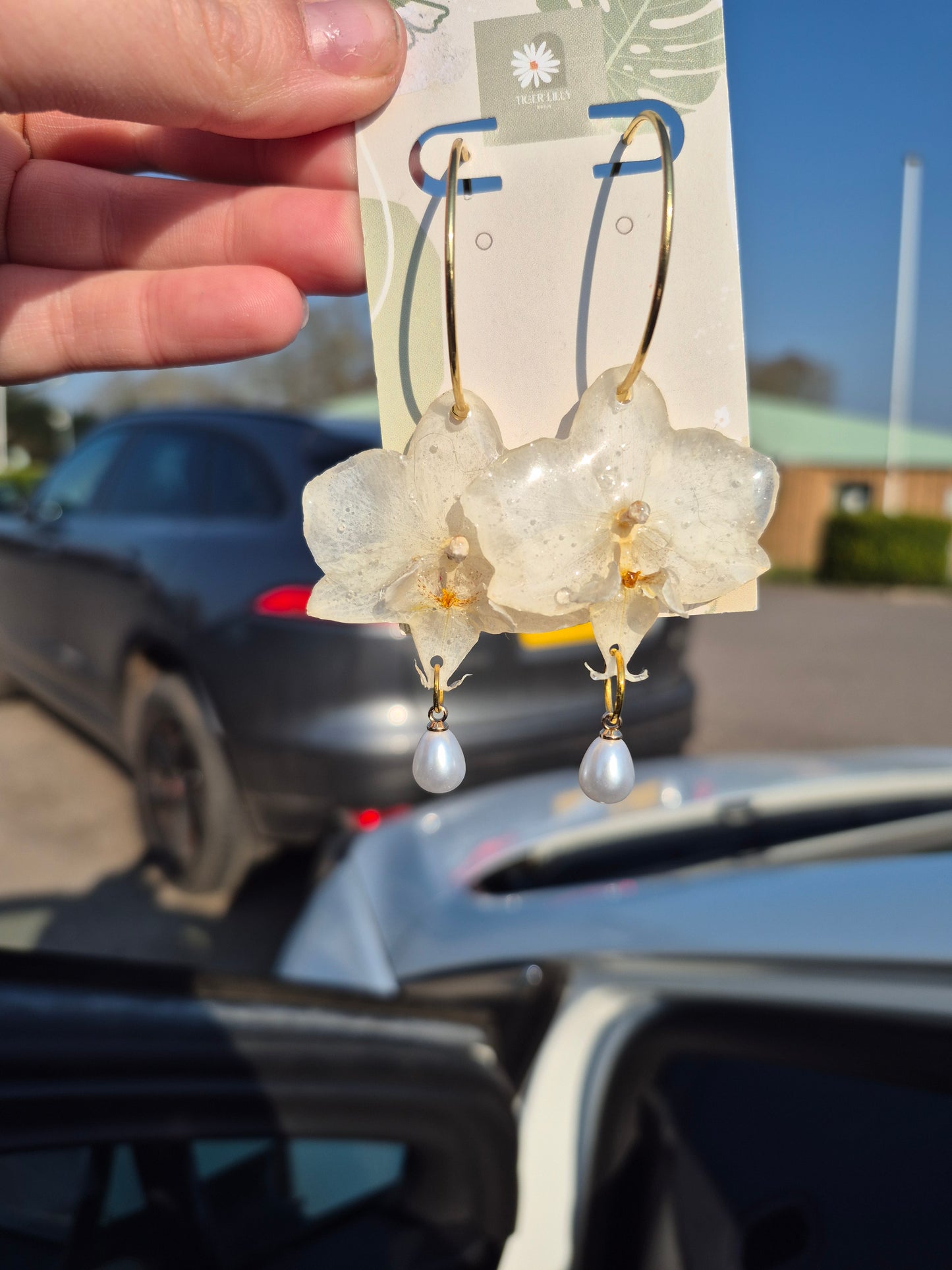 White phalaenopsis orchid earrings