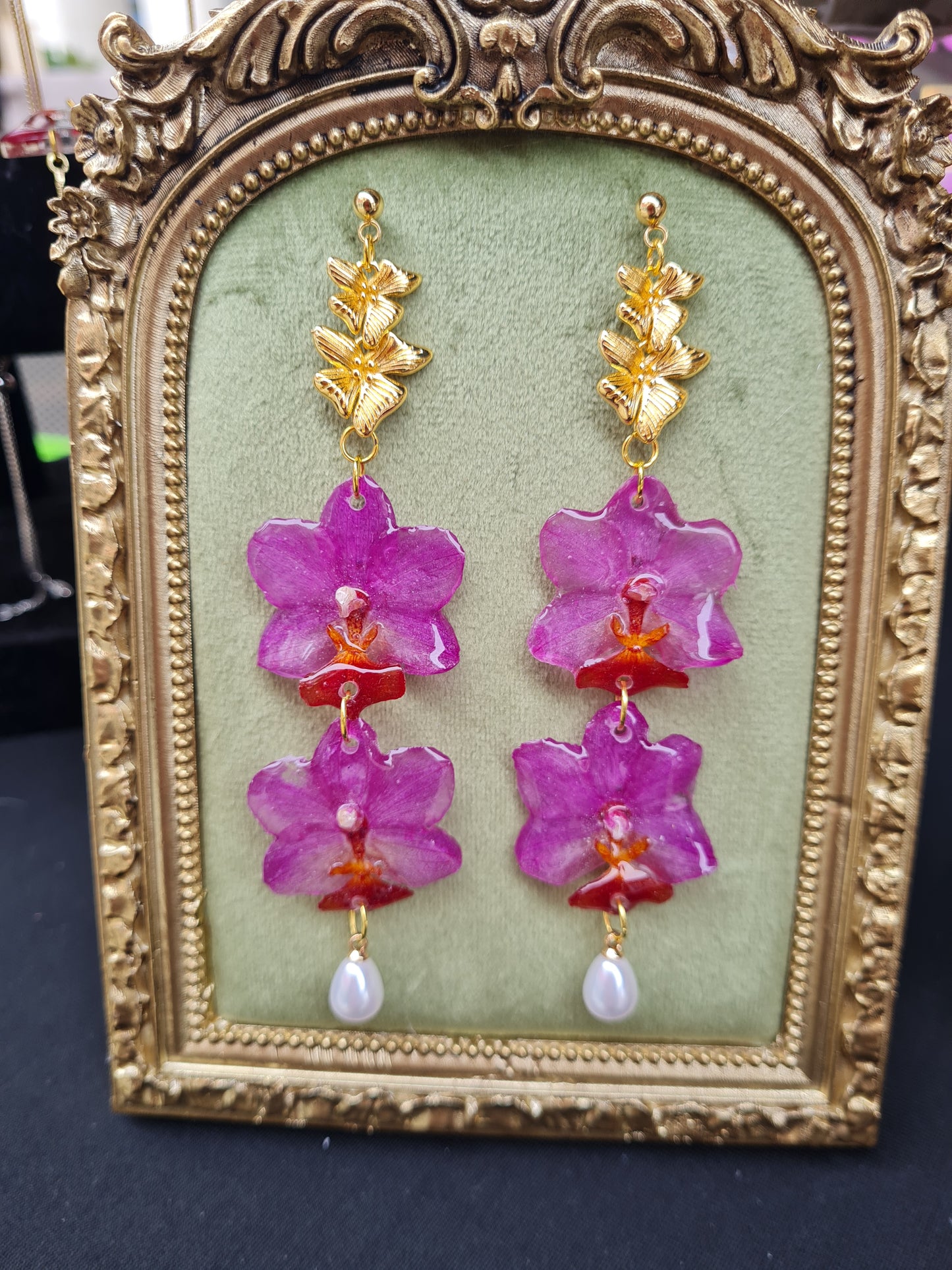 Pink and red lipped phalaenopsis double dangle