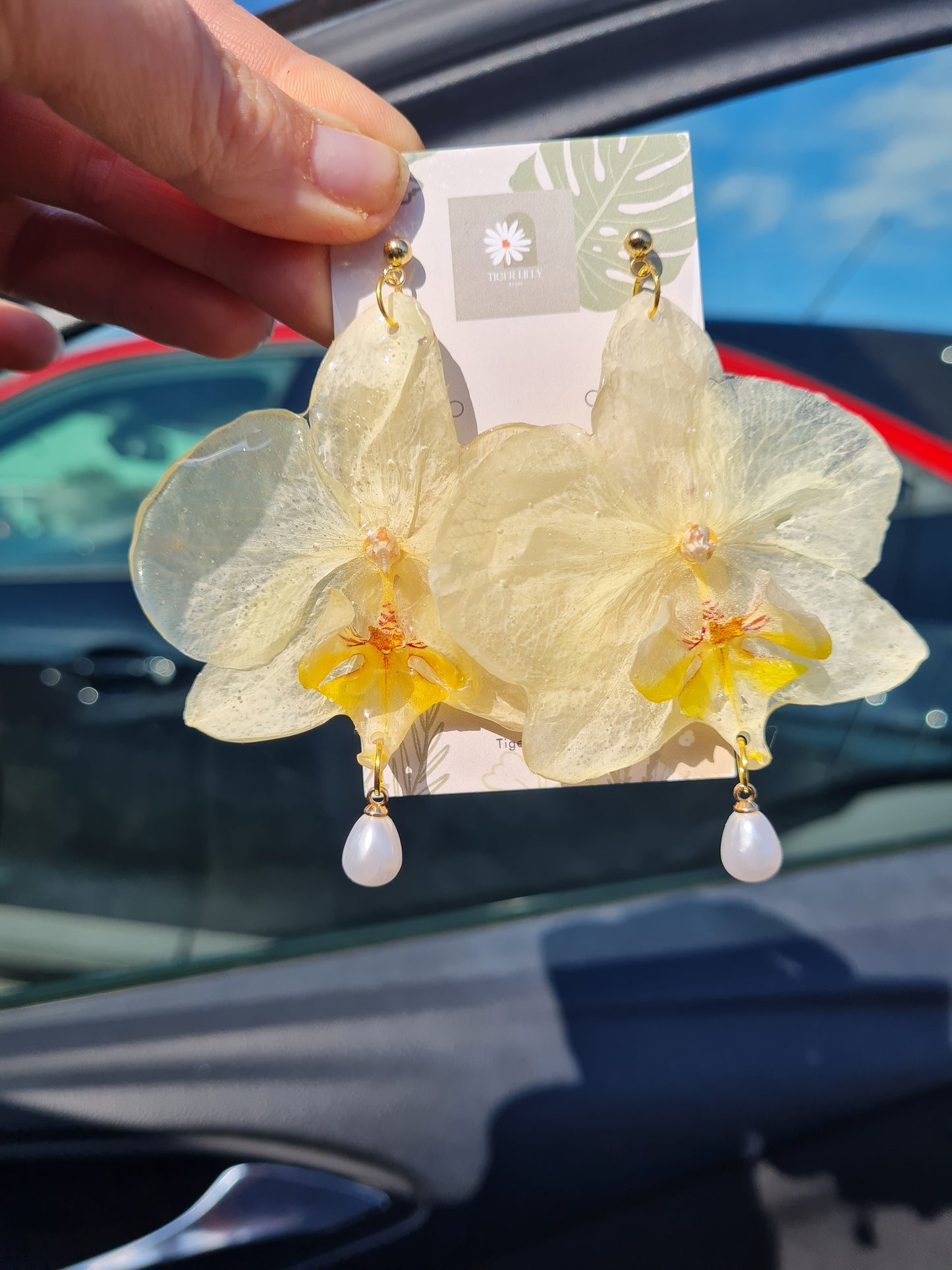 Real White phalaenopsis orchid earrings