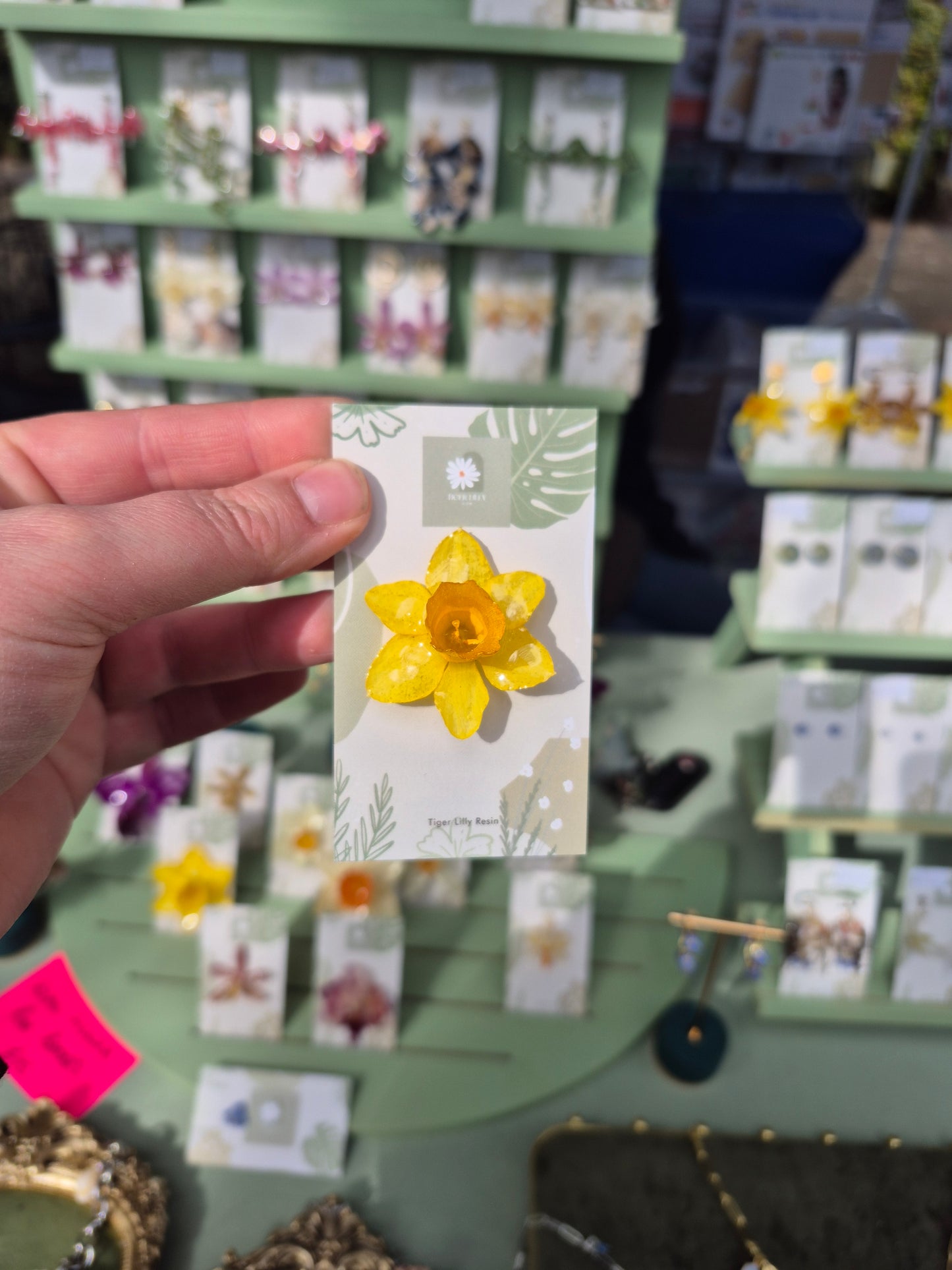 Real daffodil pin badge