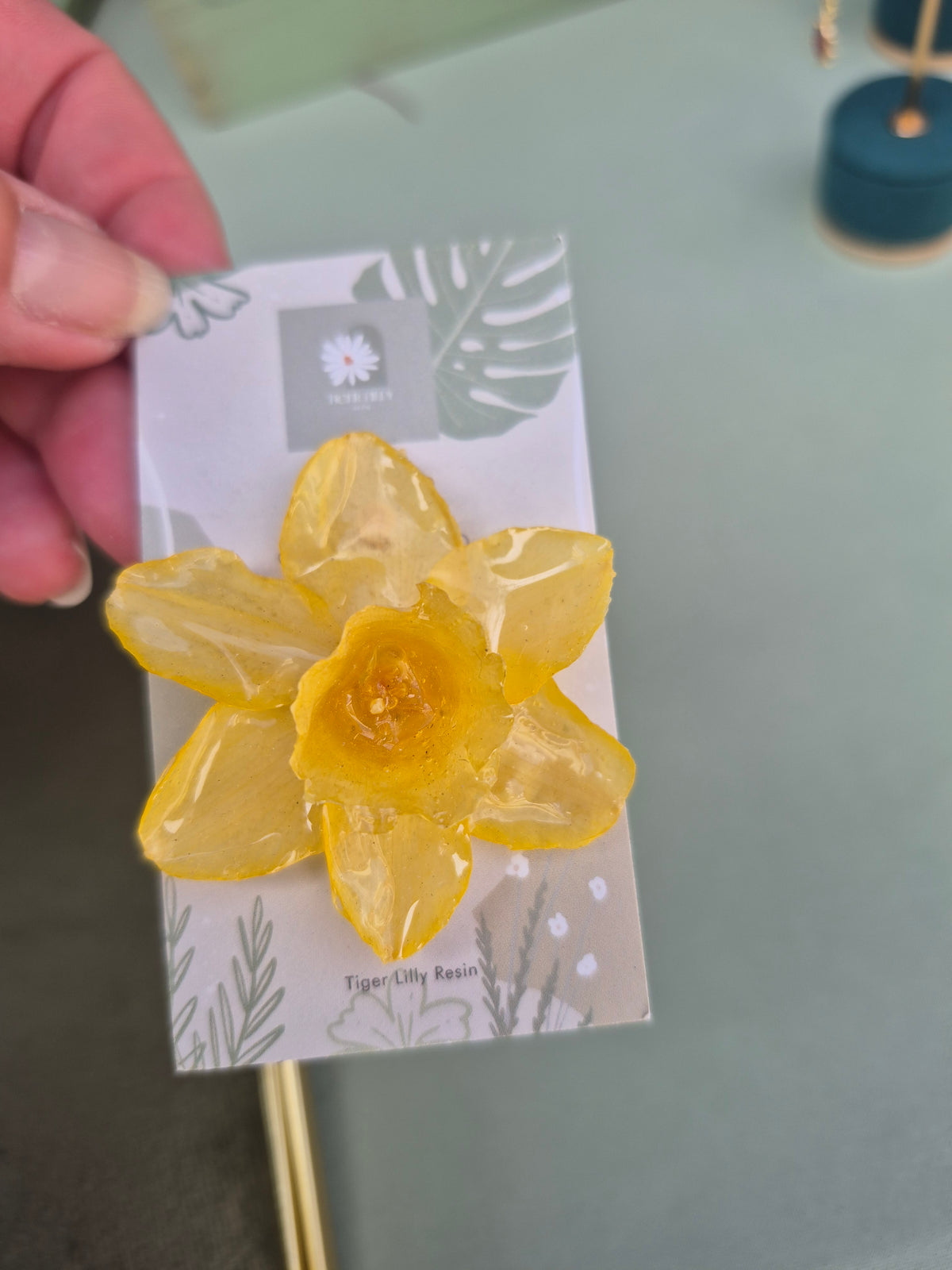 Real daffodil pin badge