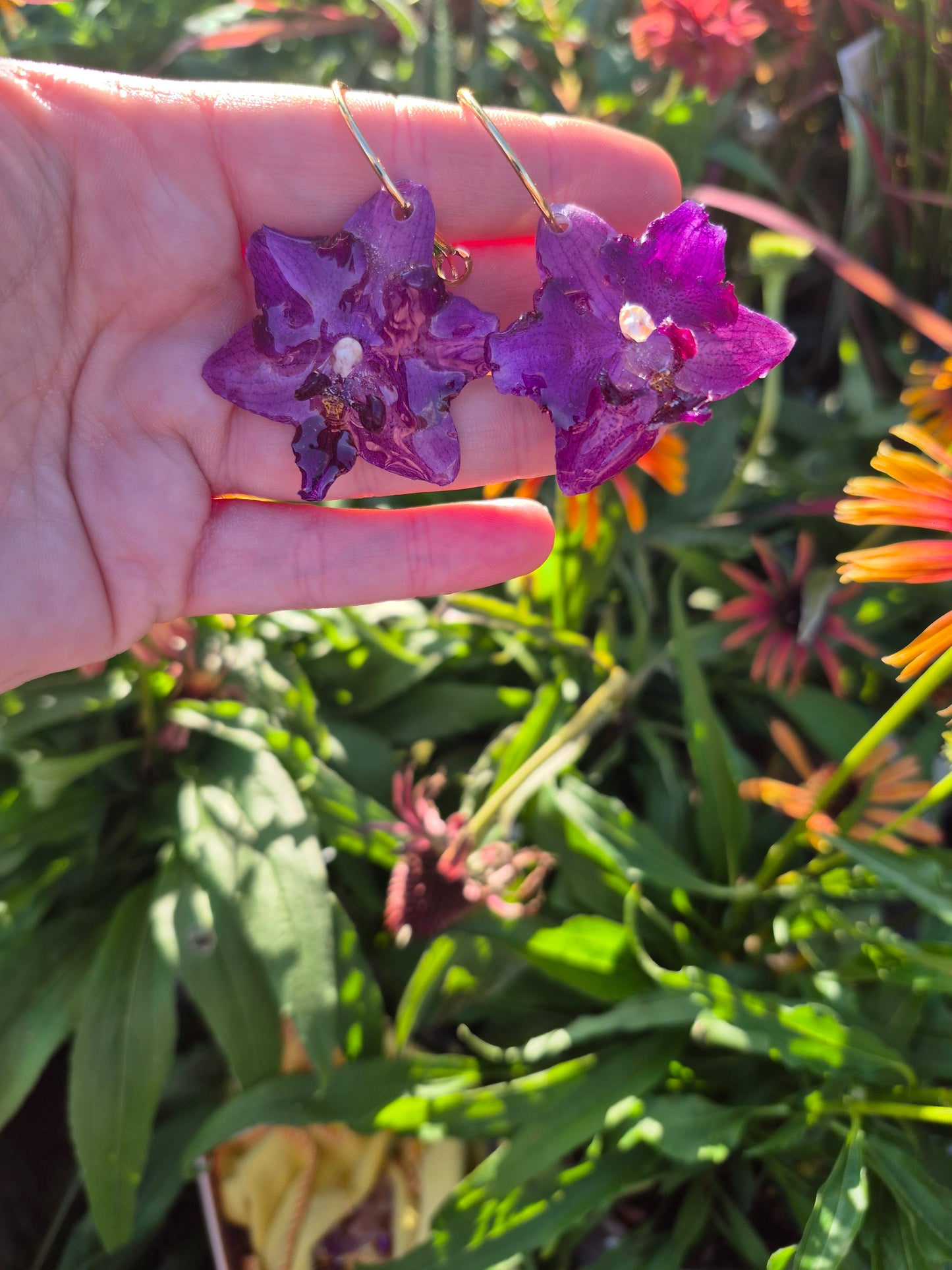 Real peloric purple orchid earrings