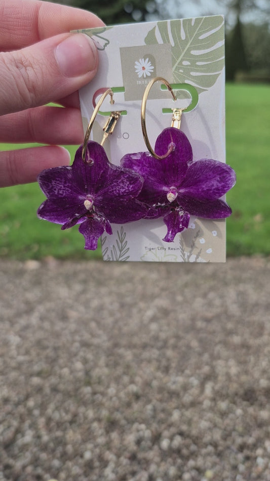 Pink phalaenopsis orchid hoop earrings