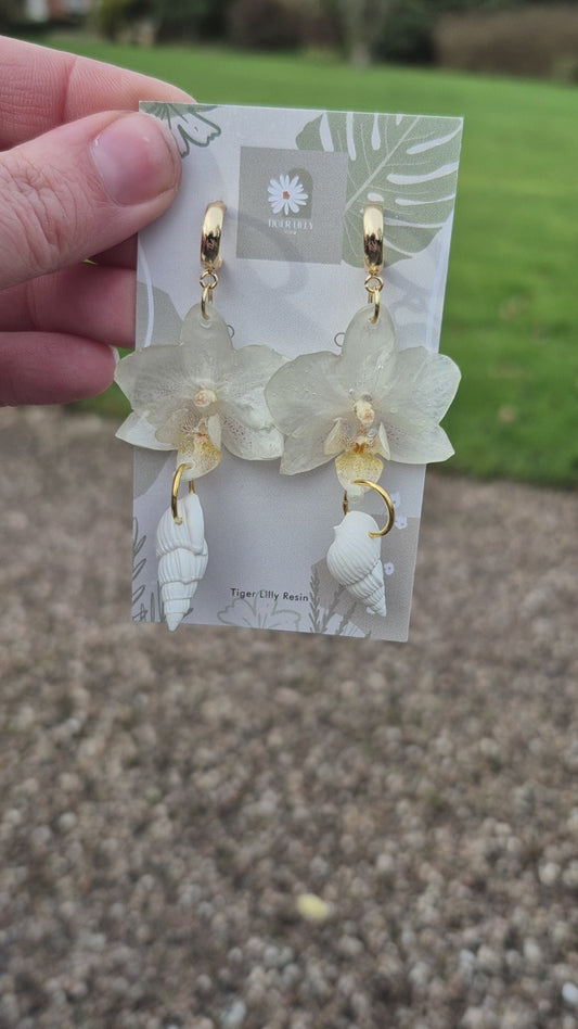 White phalaenopsis shell dangles