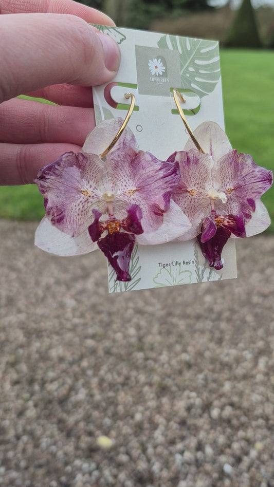 Rare peloric orchids resin earrings