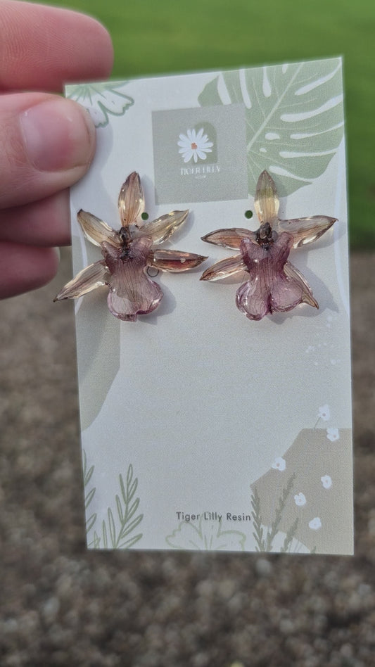 Real oncidium see through orchid studs