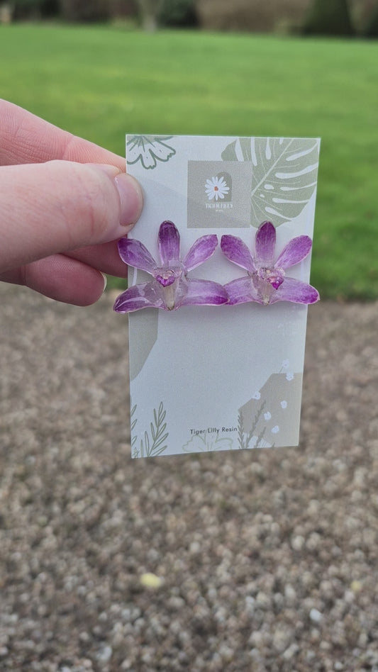 Dendrobium stud earrings