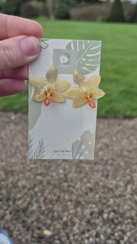 Phalaenopsis mini mark orchid stud earrings