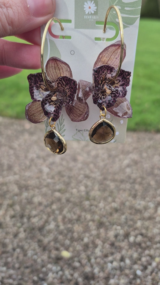 Real cymbidium orchid hoop earrings