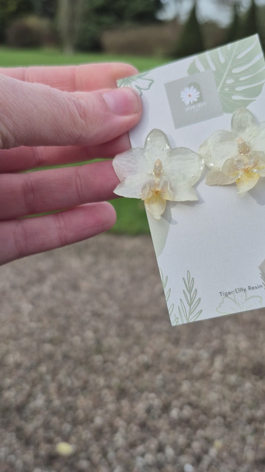 White phalaenopsis stud earrings