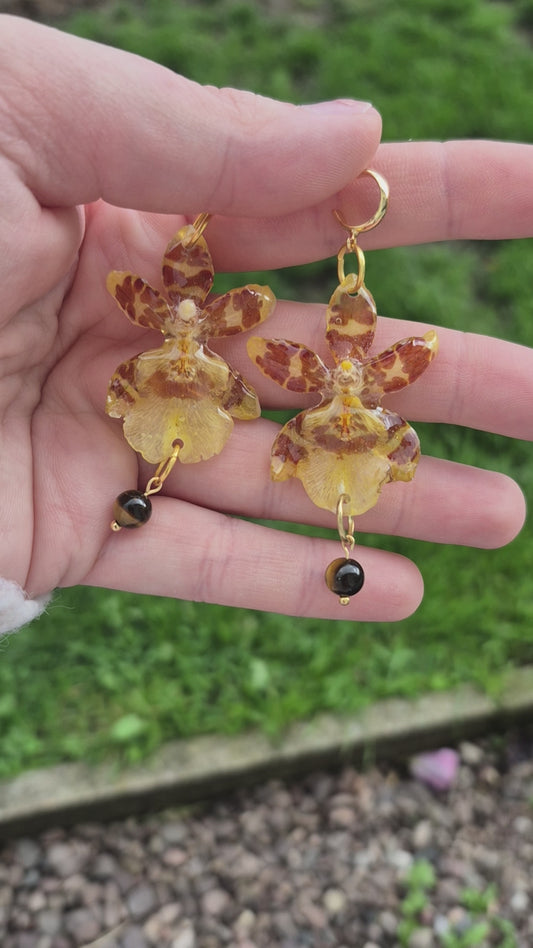 Real oncidium orchid dangle earrings