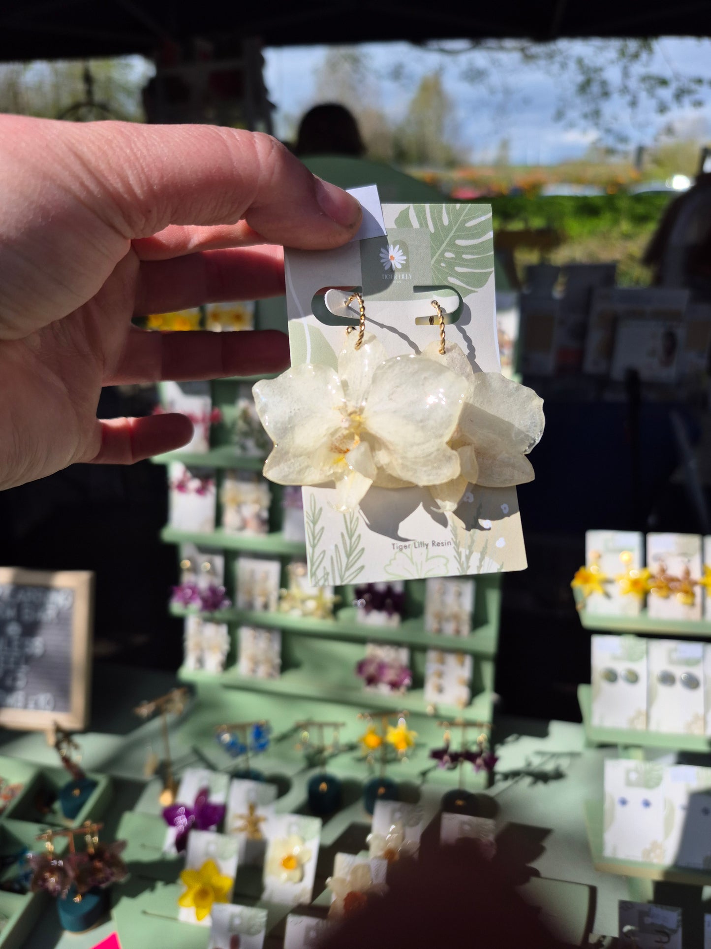 Real phalaenopsis white orchid earrings