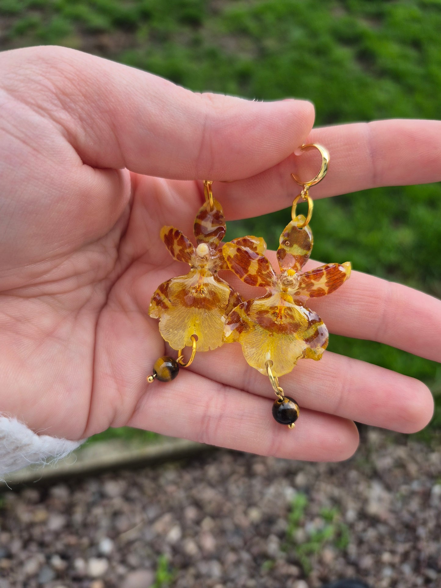 Real oncidium orchid dangle earrings